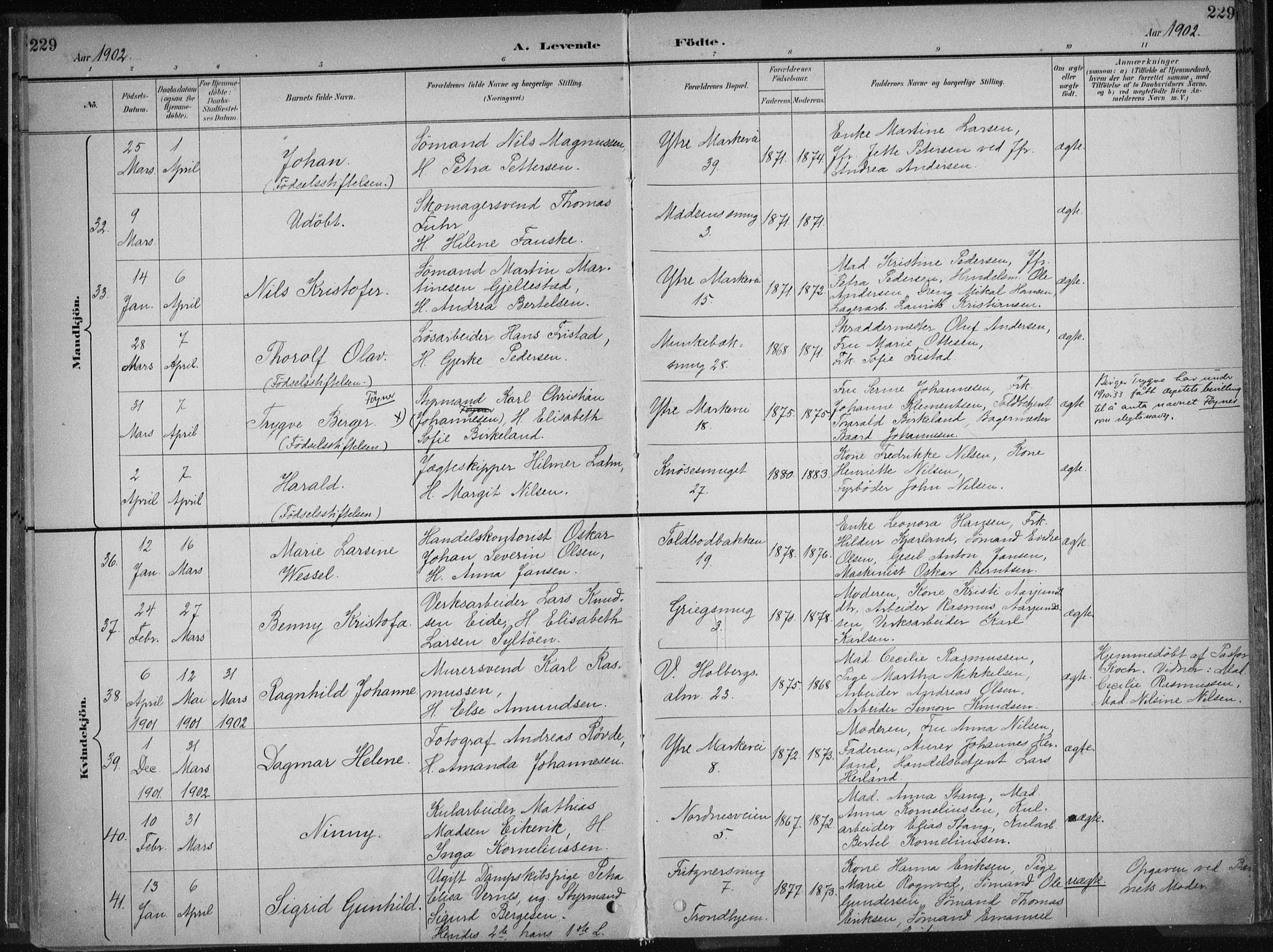 Nykirken Sokneprestembete, AV/SAB-A-77101/H/Haa/L0018: Ministerialbok nr. B 6, 1895-1903, s. 229