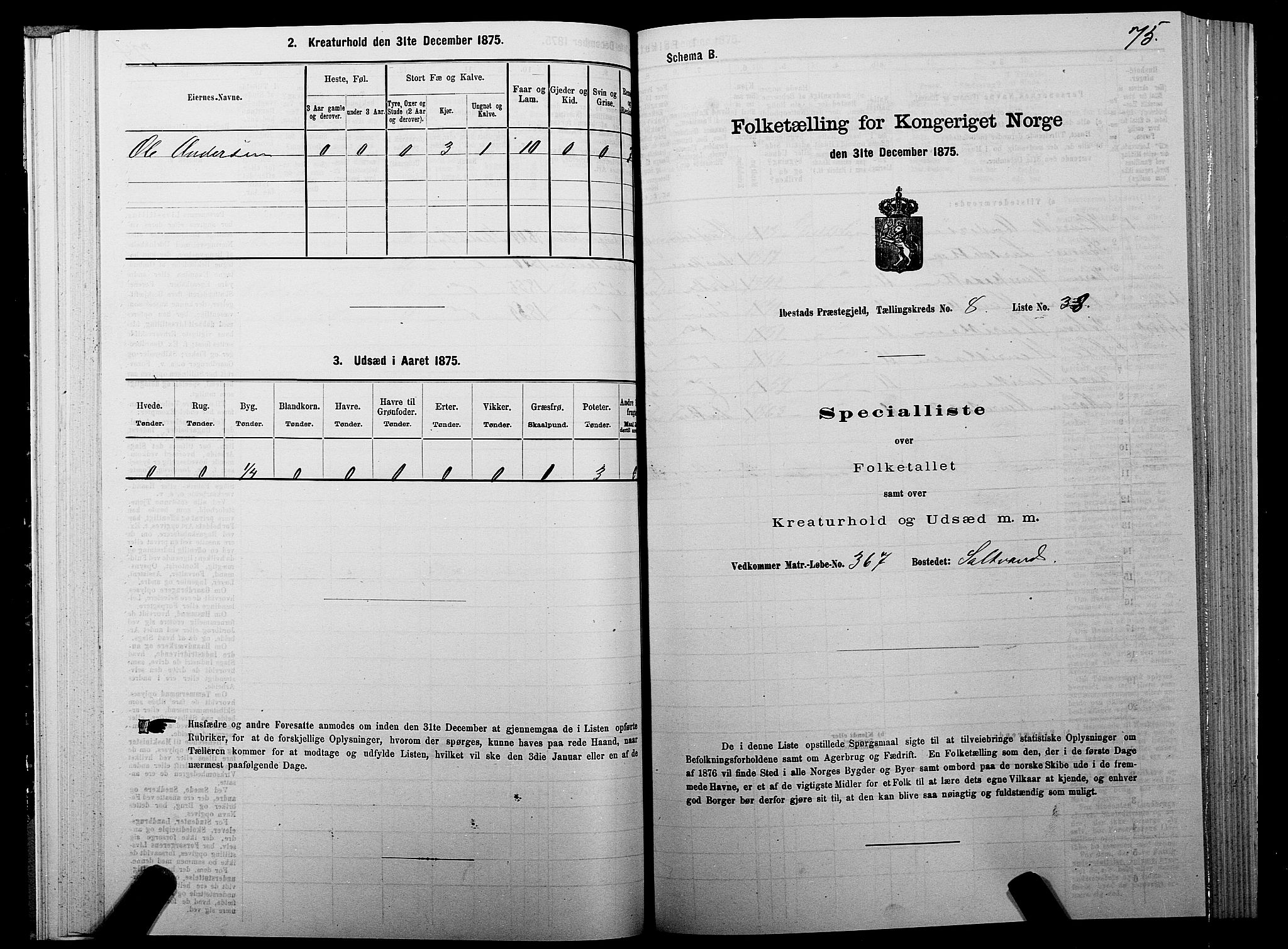 SATØ, Folketelling 1875 for 1917P Ibestad prestegjeld, 1875, s. 5075