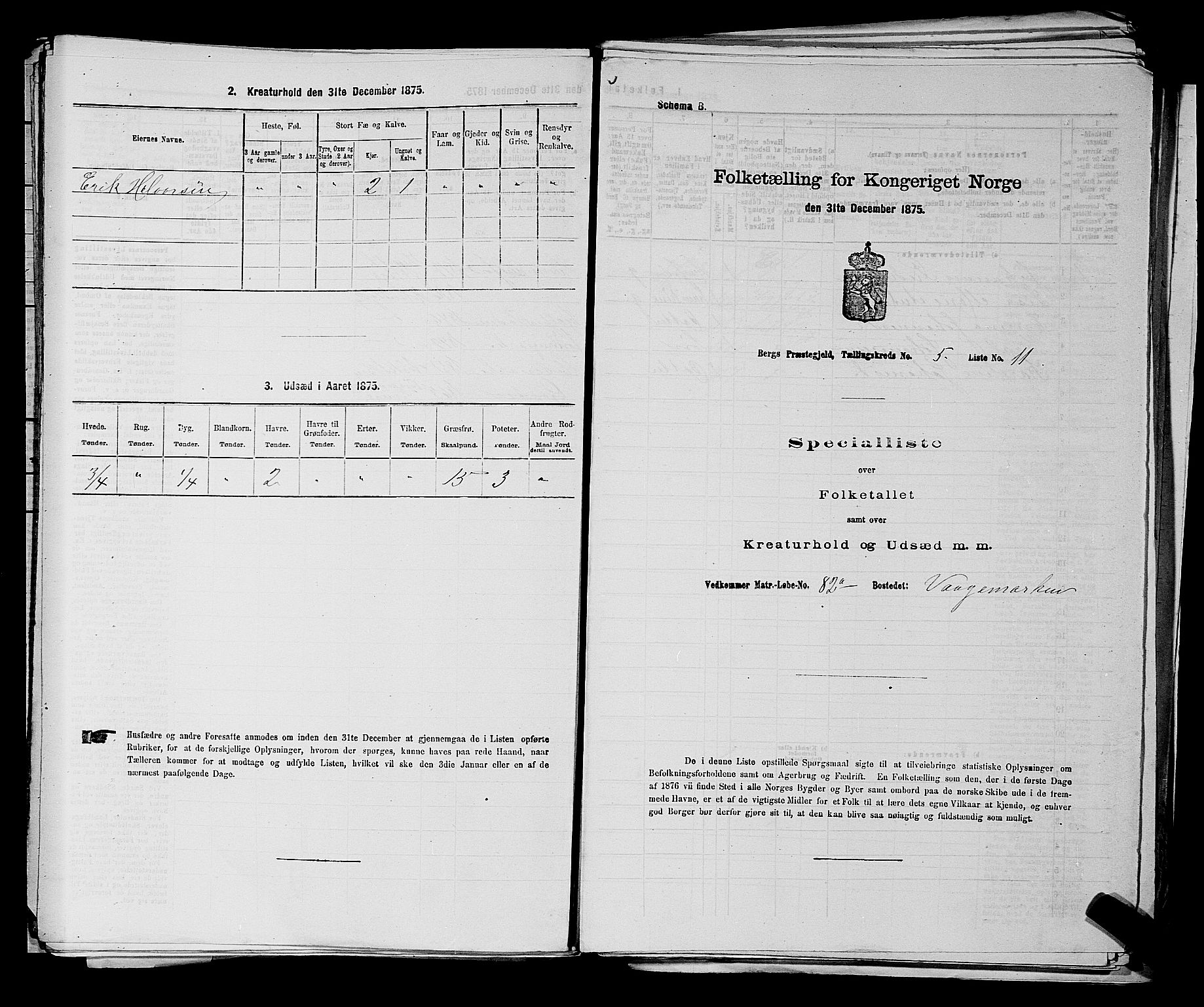 RA, Folketelling 1875 for 0116P Berg prestegjeld, 1875, s. 703