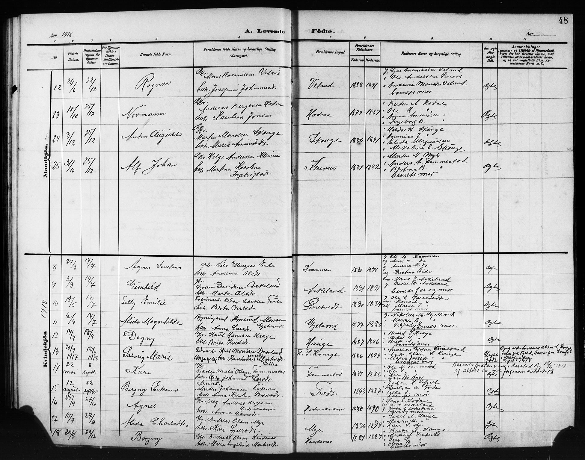 Lindås Sokneprestembete, AV/SAB-A-76701/H/Hab/Habe/L0004: Klokkerbok nr. E 4, 1906-1921, s. 48