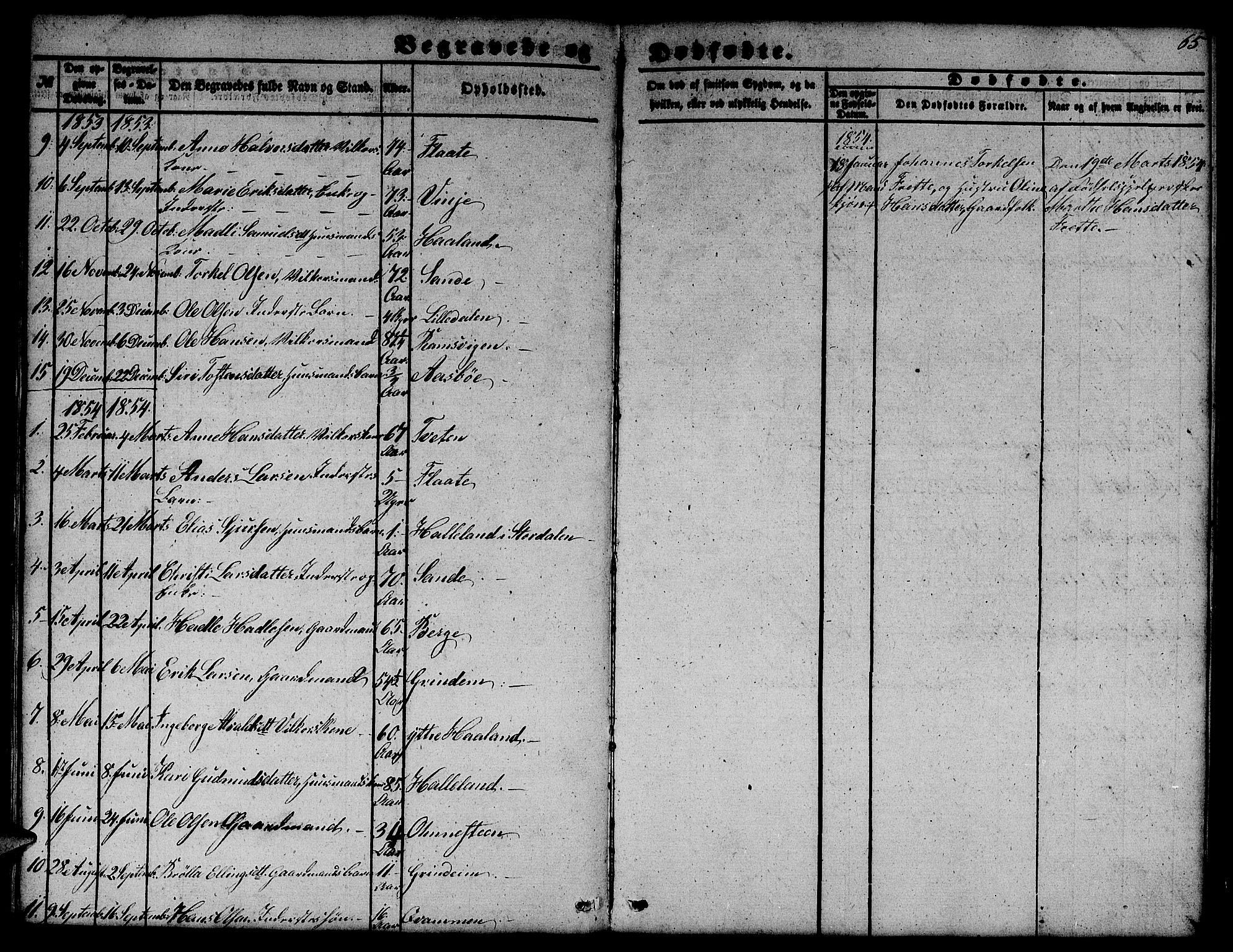Etne sokneprestembete, AV/SAB-A-75001/H/Hab: Klokkerbok nr. C 2, 1851-1865, s. 65