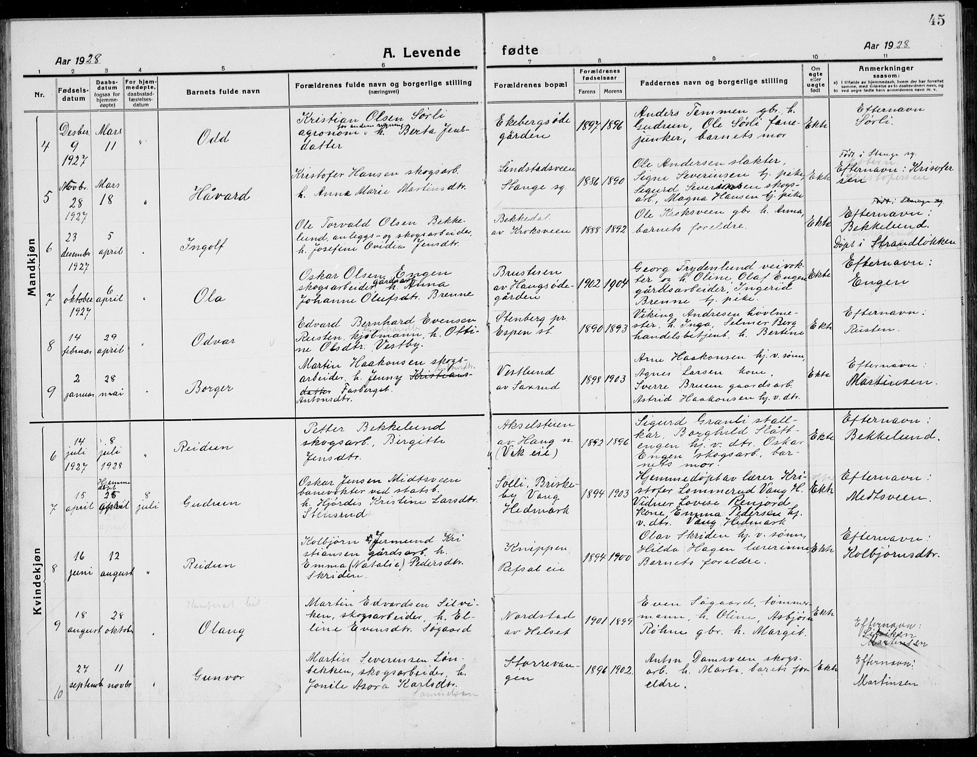 Stange prestekontor, AV/SAH-PREST-002/L/L0017: Klokkerbok nr. 17, 1918-1936, s. 45