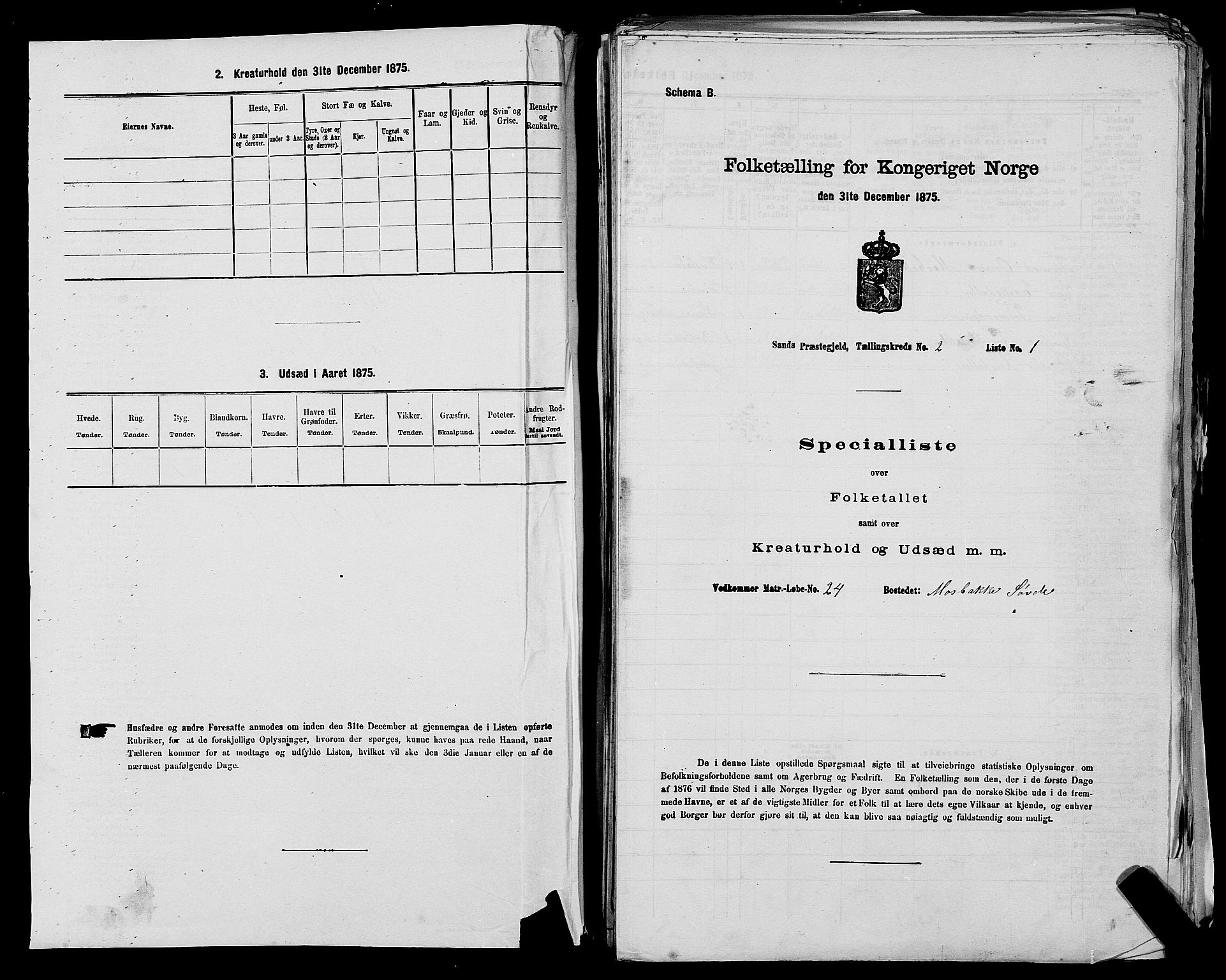 SAST, Folketelling 1875 for 1136P Sand prestegjeld, 1875, s. 846