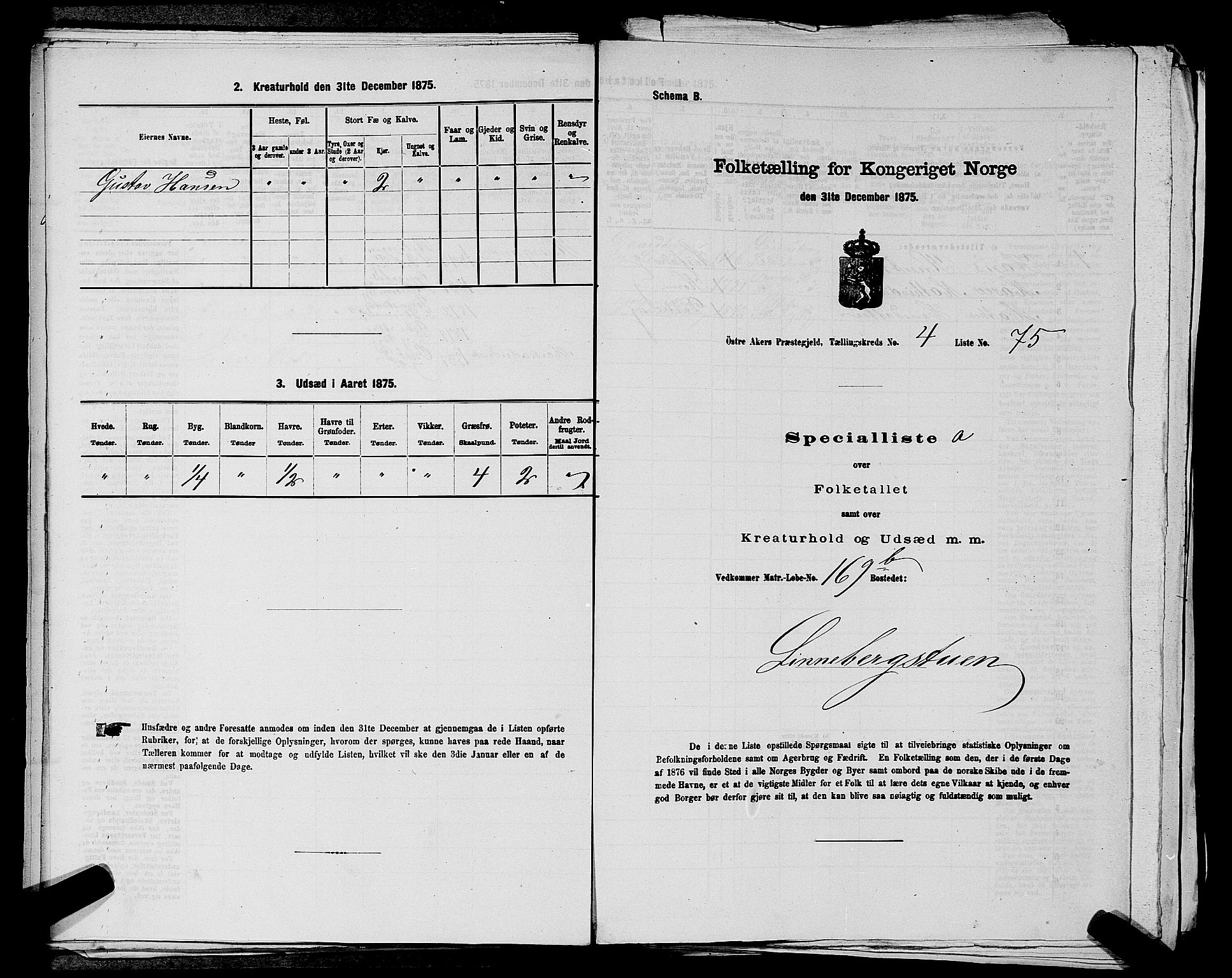 RA, Folketelling 1875 for 0218bP Østre Aker prestegjeld, 1875, s. 1317