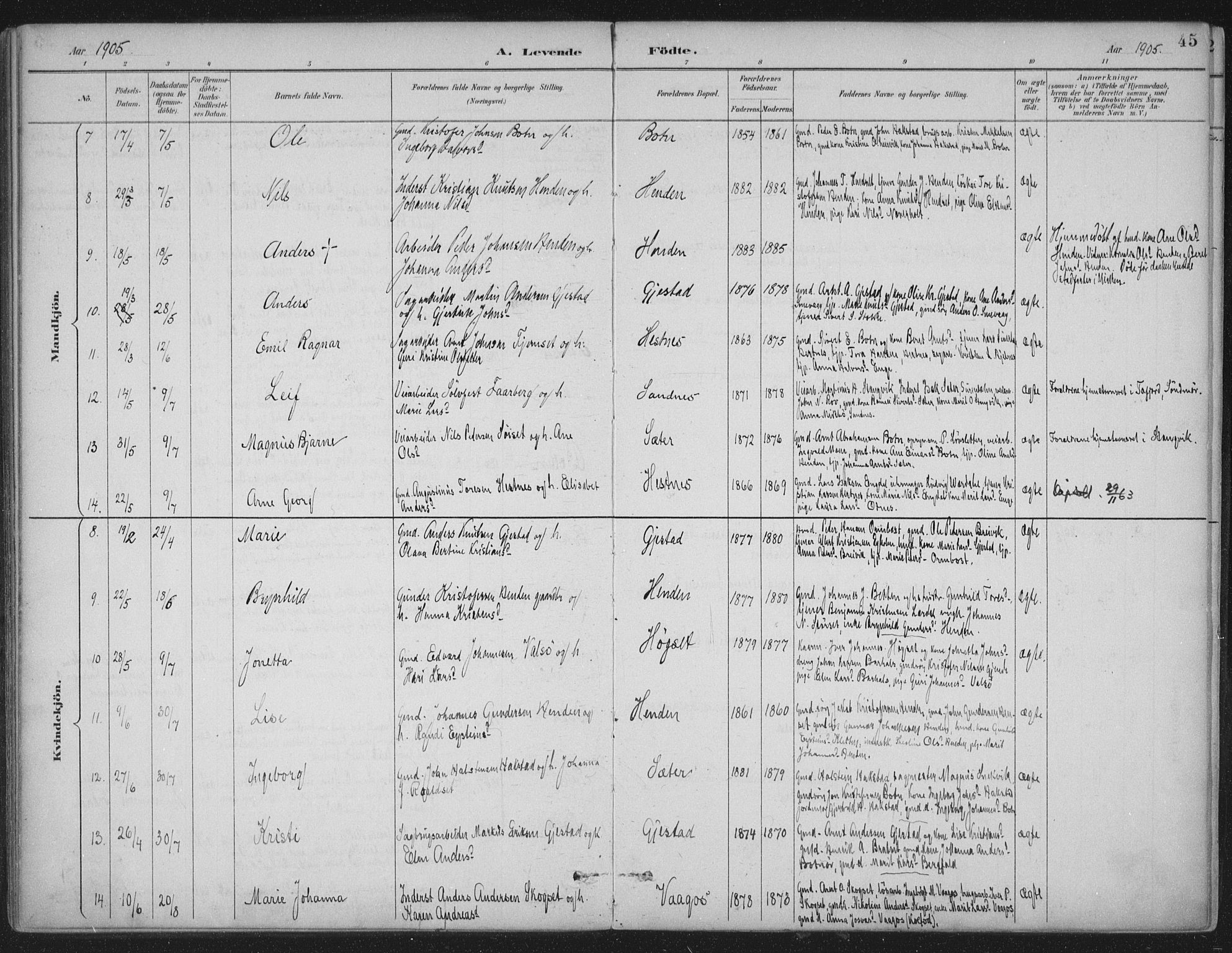 Ministerialprotokoller, klokkerbøker og fødselsregistre - Møre og Romsdal, SAT/A-1454/580/L0925: Ministerialbok nr. 580A02, 1888-1913, s. 45