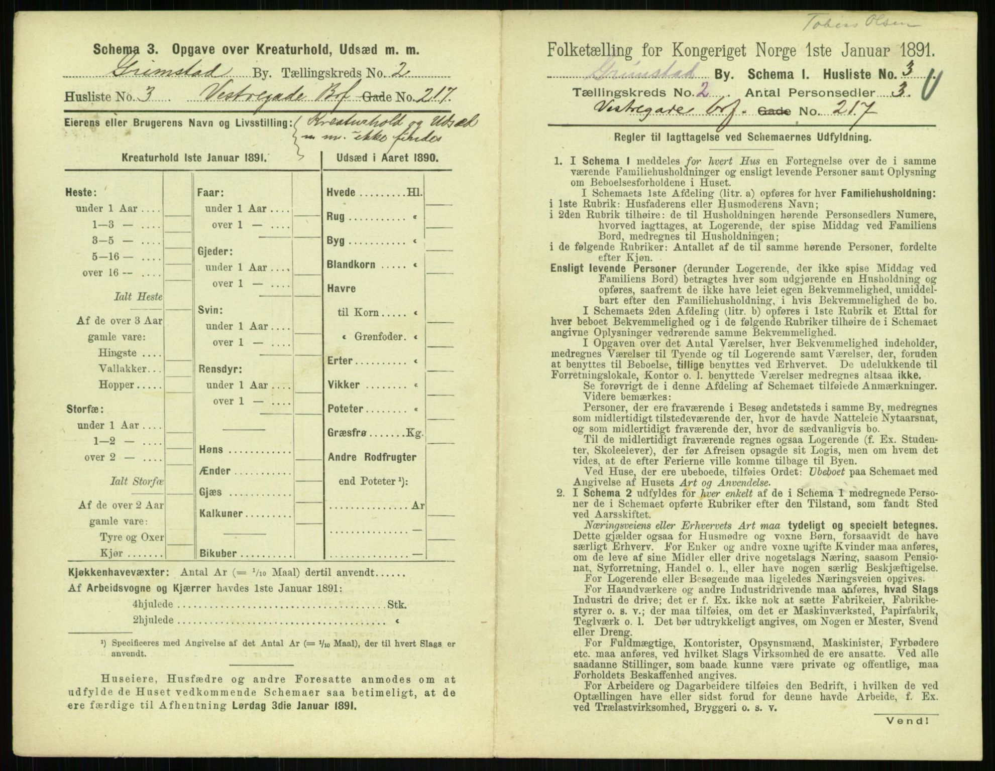 RA, Folketelling 1891 for 0904 Grimstad kjøpstad, 1891, s. 160
