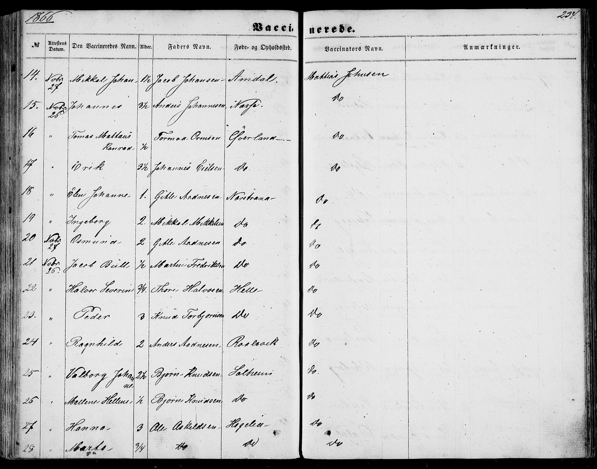 Nedstrand sokneprestkontor, SAST/A-101841/01/IV: Ministerialbok nr. A 9, 1861-1876, s. 234