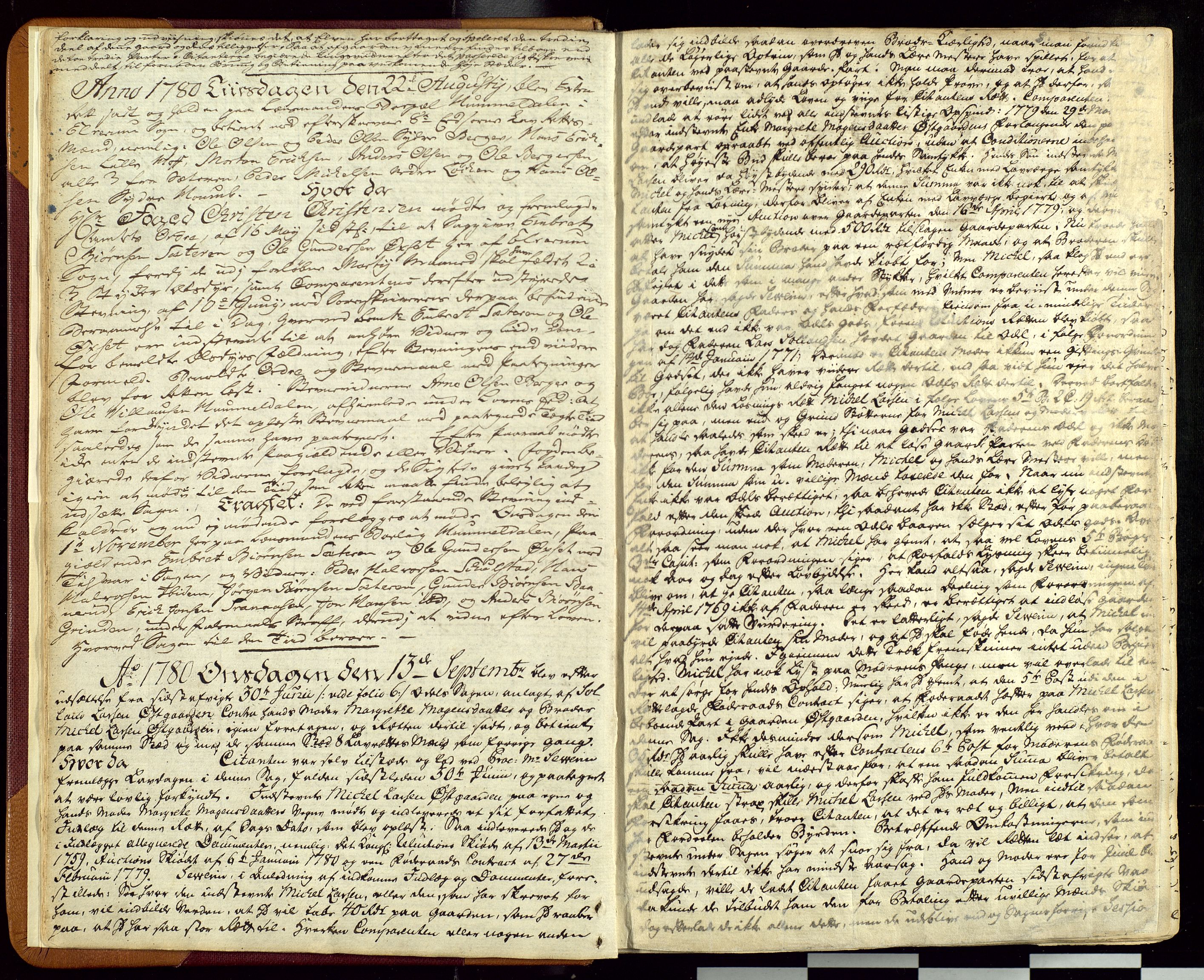 Østerdalen sorenskriveri, AV/SAH-TING-032/G/Gc/L0001: Ekstrarettsprotokoll, 1780-1792, s. 8