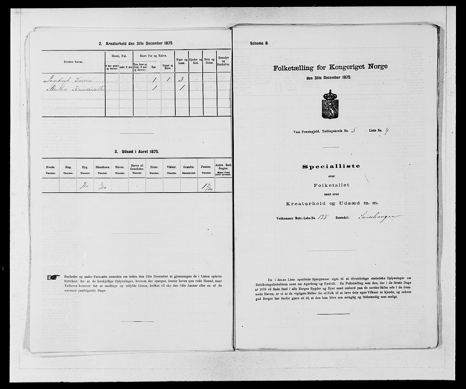 SAB, Folketelling 1875 for 1235P Voss prestegjeld, 1875, s. 587