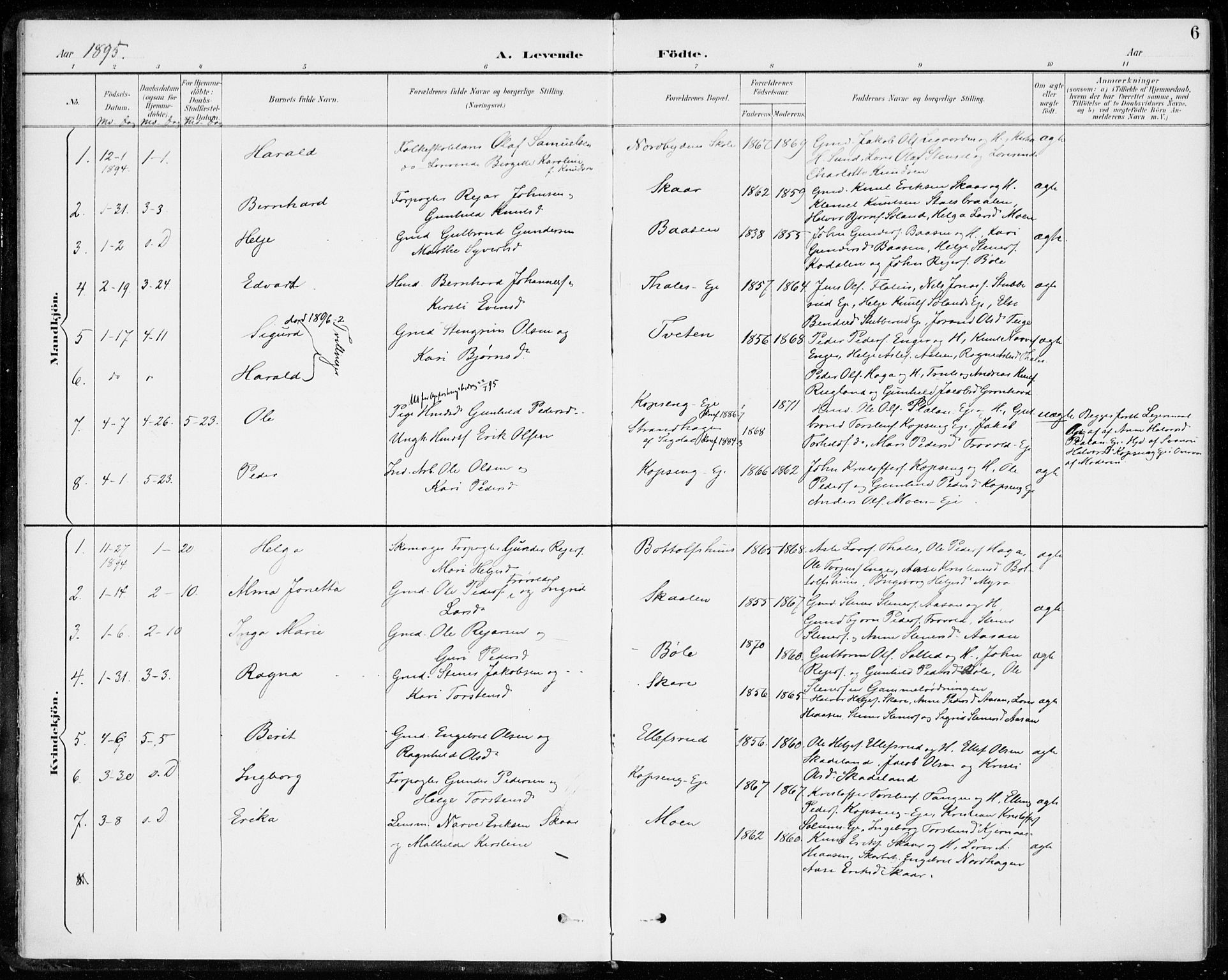 Sigdal kirkebøker, AV/SAKO-A-245/F/Fc/L0002: Ministerialbok nr. III 2, 1894-1911, s. 6