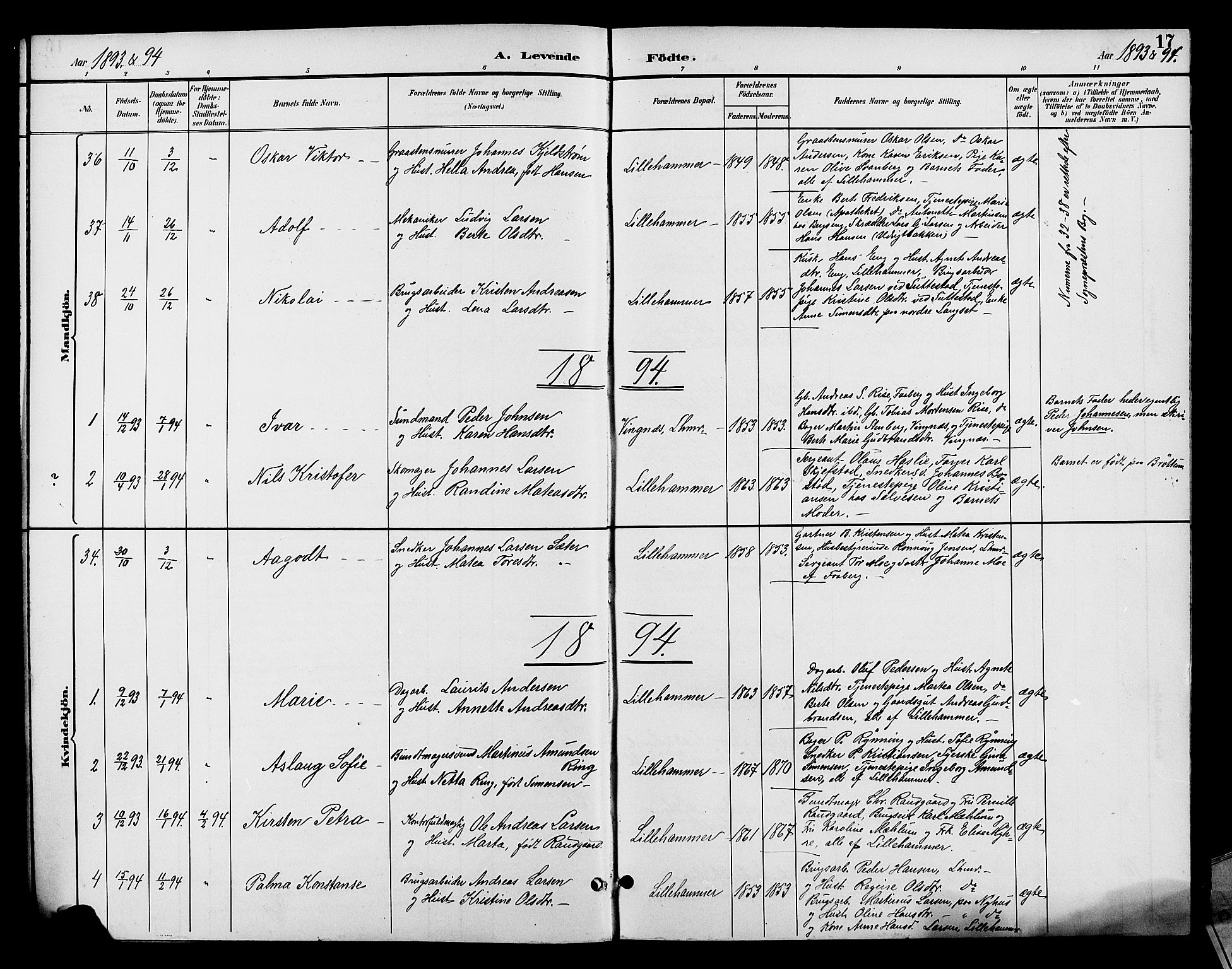 Fåberg prestekontor, SAH/PREST-086/H/Ha/Hab/L0008: Klokkerbok nr. 8, 1891-1900, s. 17