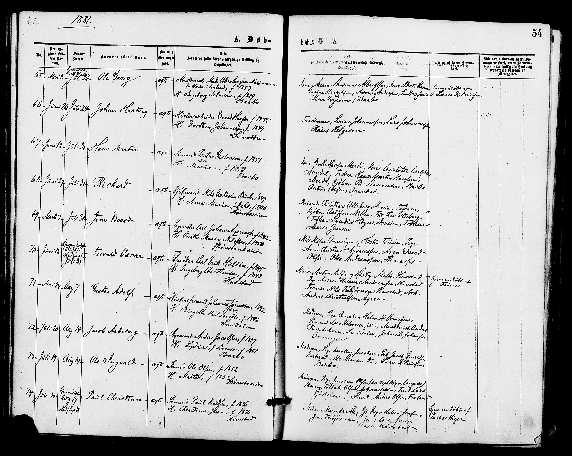 Barbu sokneprestkontor, AV/SAK-1111-0003/F/Fa/L0001: Ministerialbok nr. A 1 /1, 1878-1883, s. 54