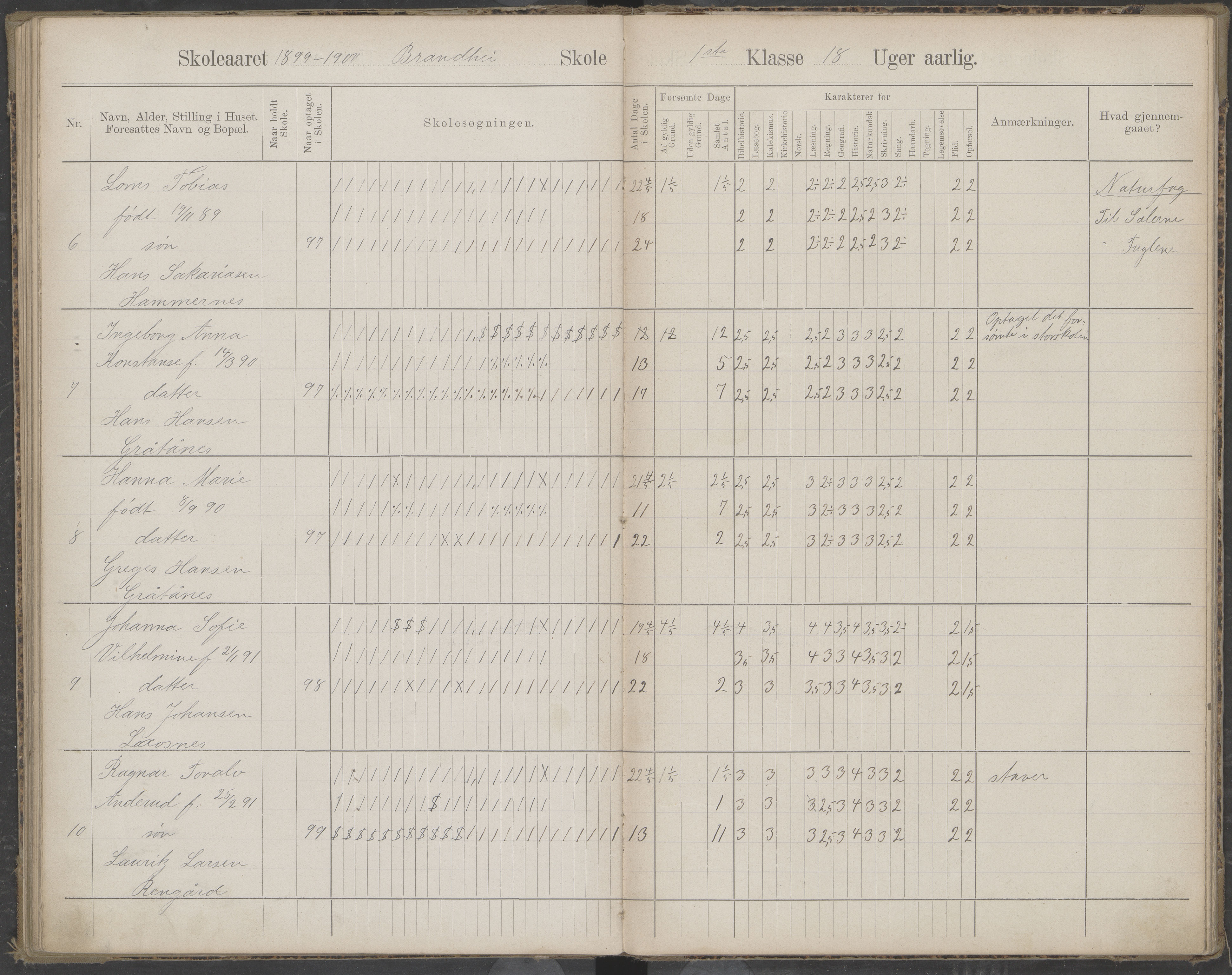 Beiarn kommune. Brandhei skolekrets, AIN/K-18390.510.03/442/L0003: Karakter/oversiktsprotokoll, 1893-1910