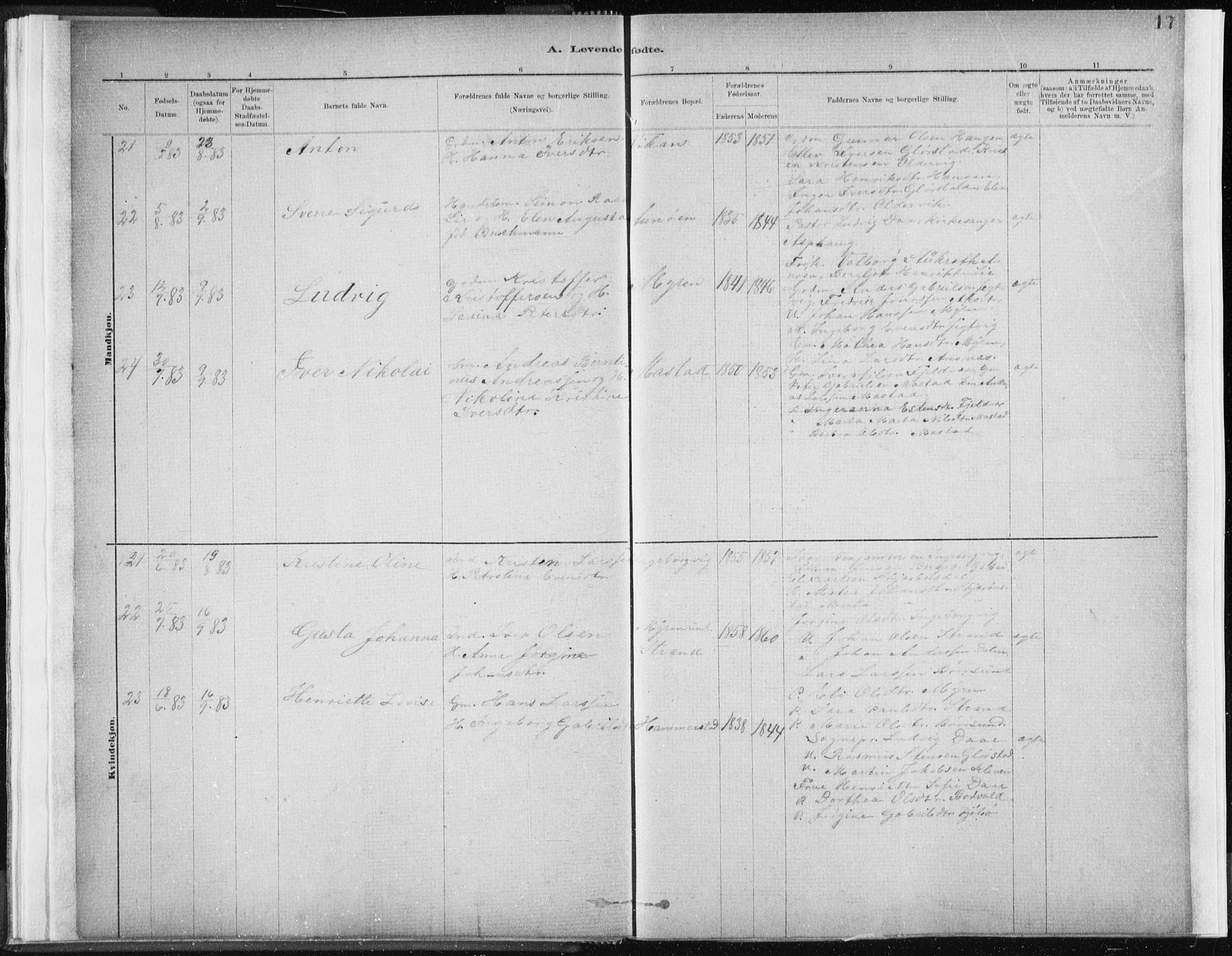 Ministerialprotokoller, klokkerbøker og fødselsregistre - Sør-Trøndelag, AV/SAT-A-1456/637/L0558: Ministerialbok nr. 637A01, 1882-1899, s. 17