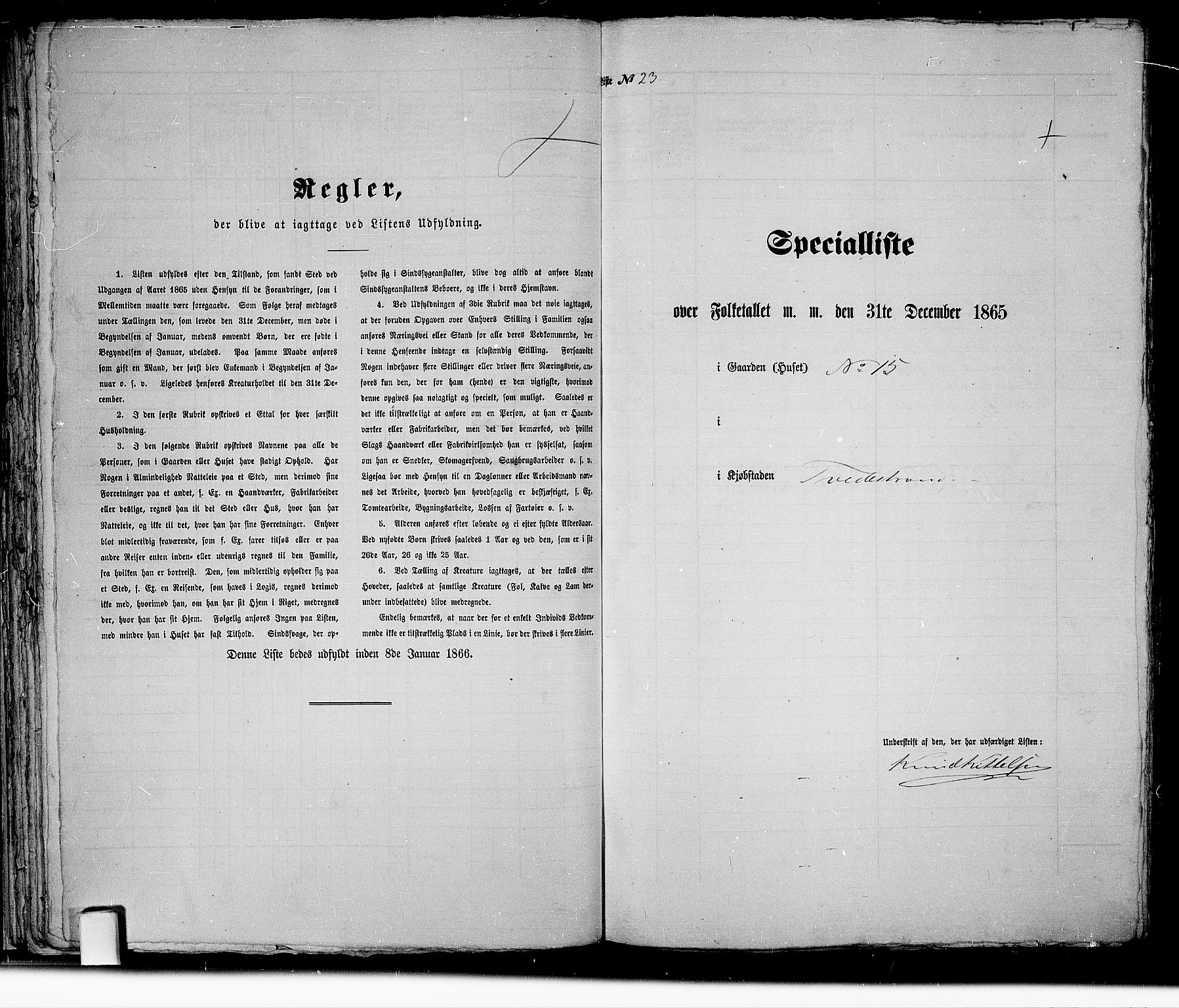 RA, Folketelling 1865 for 0902B Holt prestegjeld, Tvedestrand ladested, 1865, s. 51