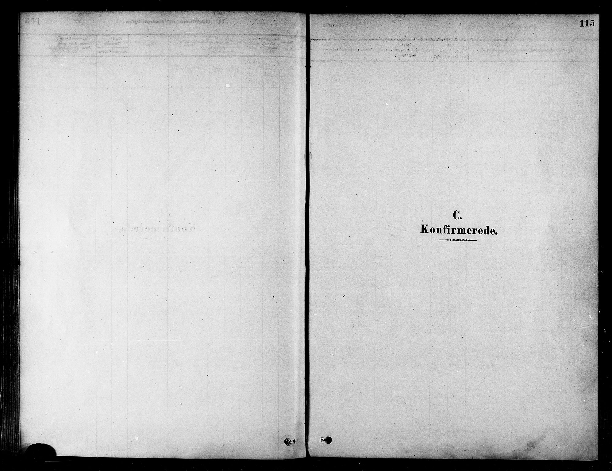 Alta sokneprestkontor, AV/SATØ-S-1338/H/Ha/L0002.kirke: Ministerialbok nr. 2, 1879-1892, s. 115