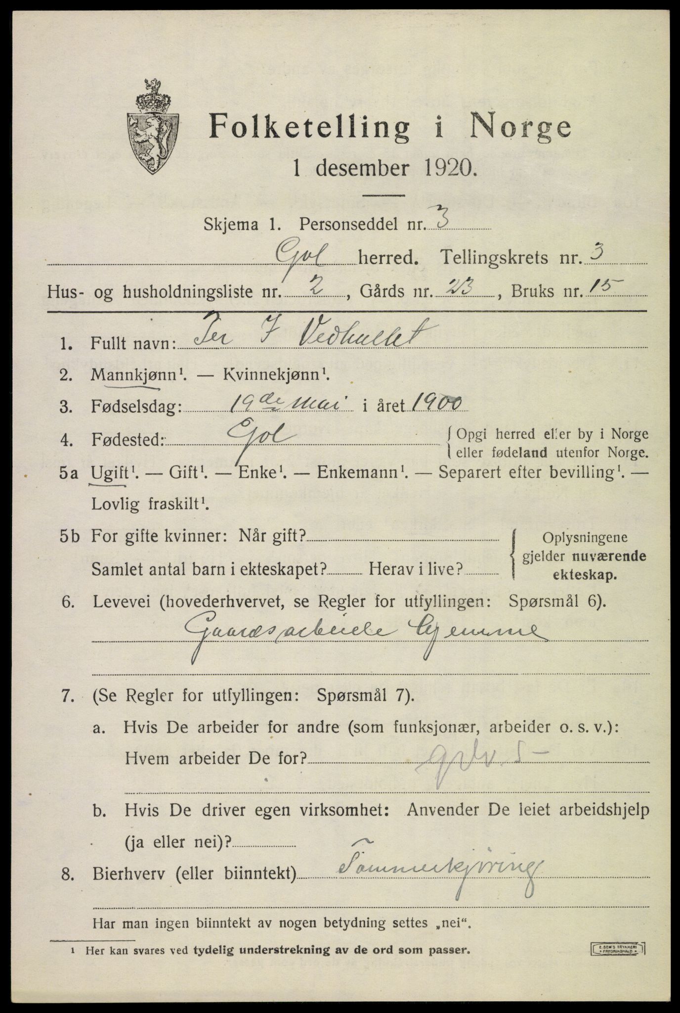SAKO, Folketelling 1920 for 0617 Gol herred, 1920, s. 2194