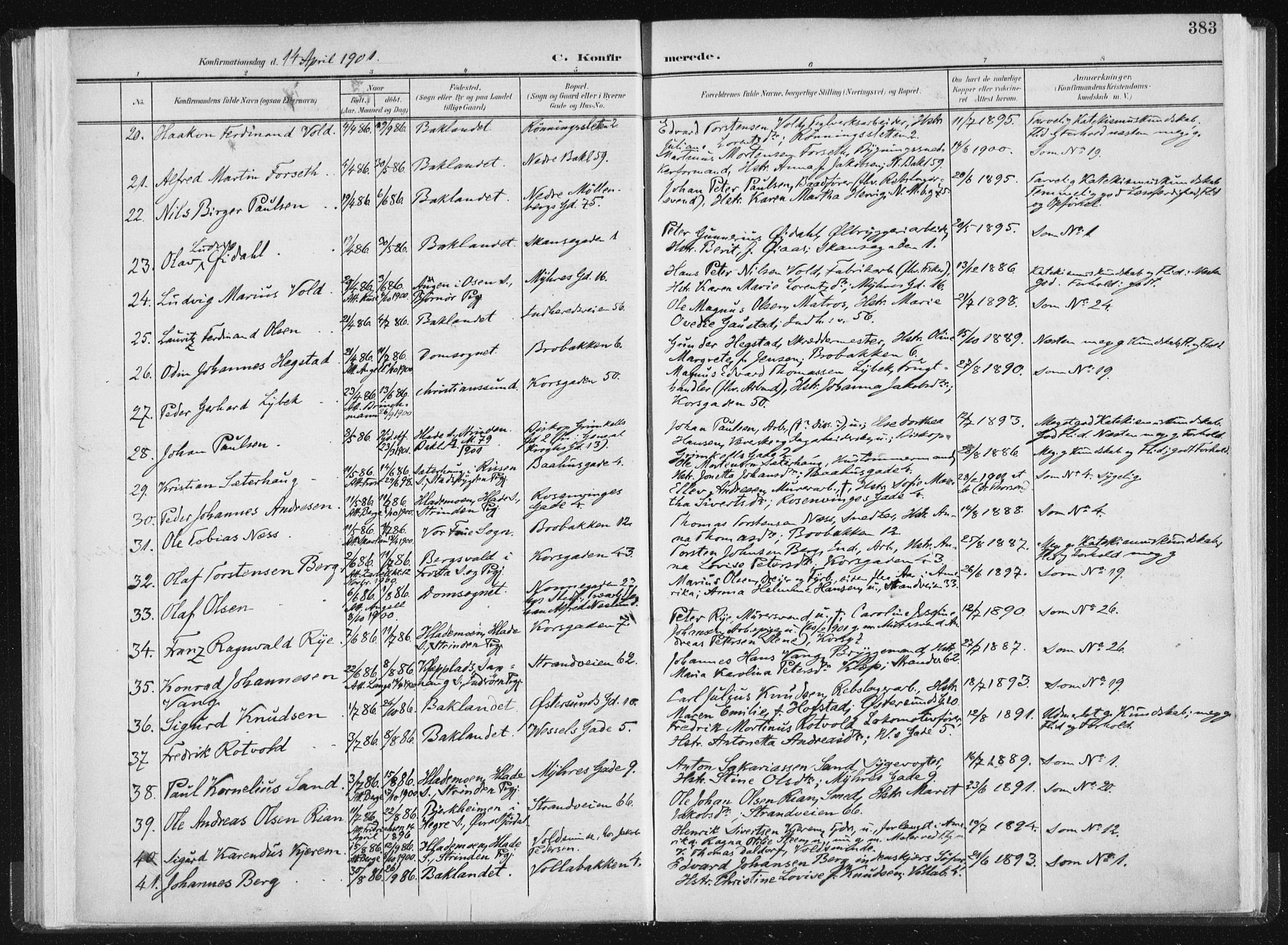 Ministerialprotokoller, klokkerbøker og fødselsregistre - Sør-Trøndelag, AV/SAT-A-1456/604/L0200: Ministerialbok nr. 604A20II, 1901-1908, s. 383