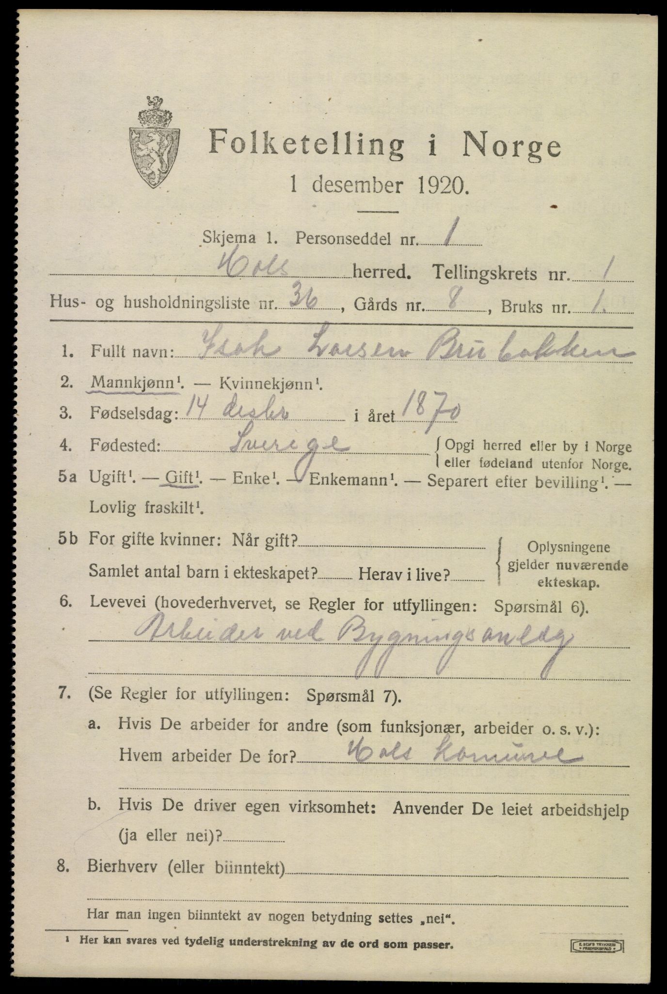 SAKO, Folketelling 1920 for 0620 Hol herred, 1920, s. 1193