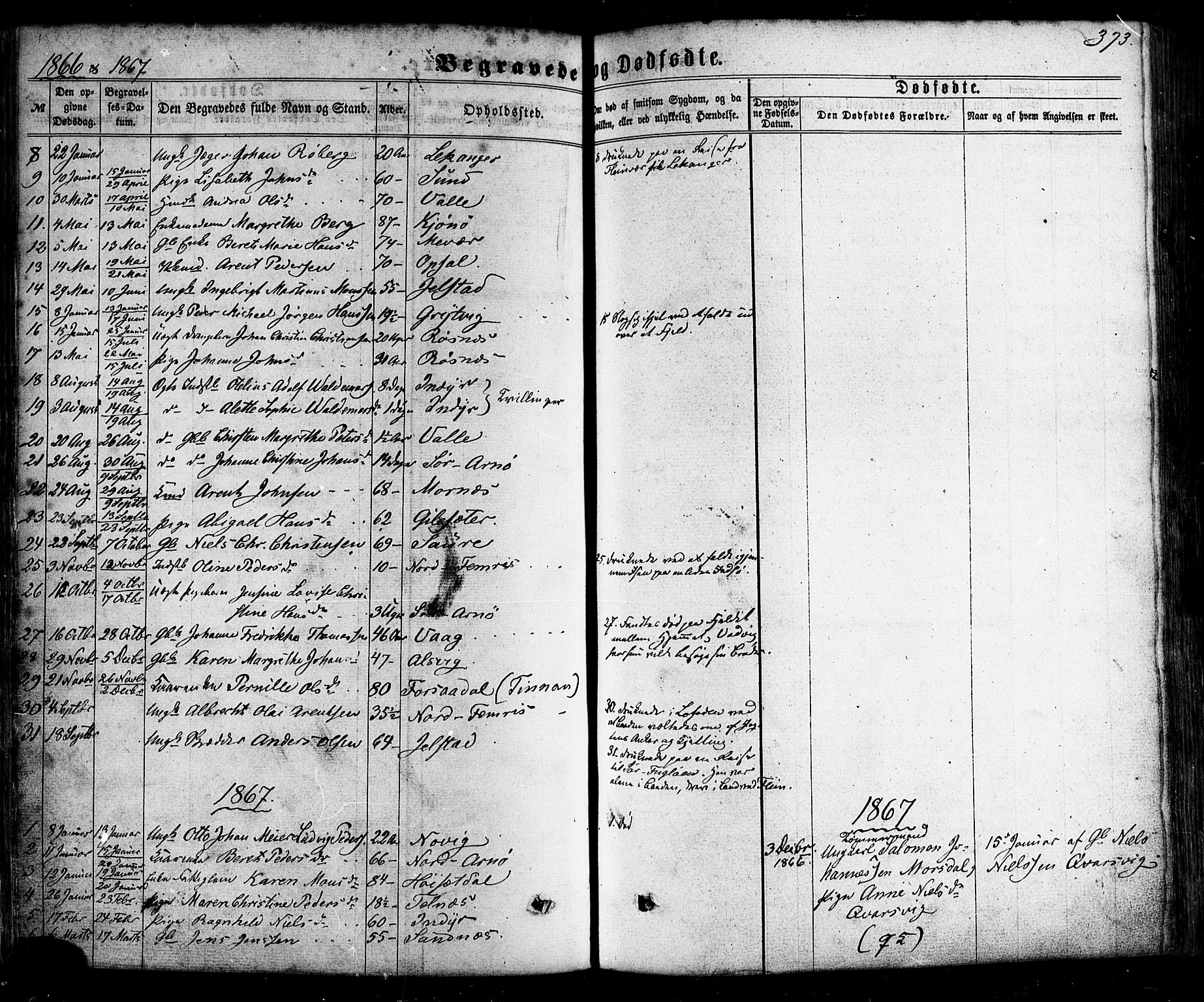 Ministerialprotokoller, klokkerbøker og fødselsregistre - Nordland, AV/SAT-A-1459/805/L0098: Ministerialbok nr. 805A05, 1862-1879, s. 373