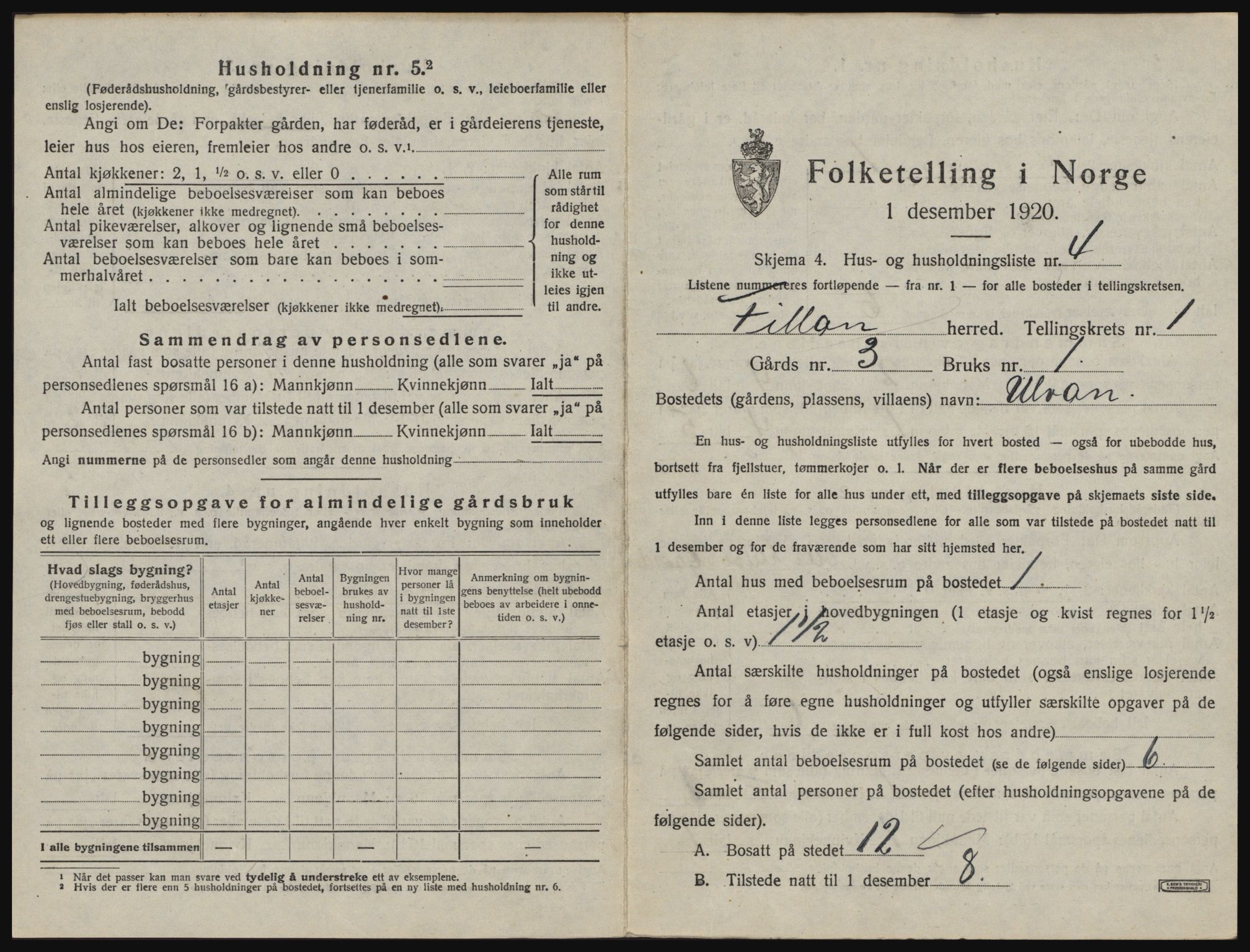 SAT, Folketelling 1920 for 1616 Fillan herred, 1920, s. 40