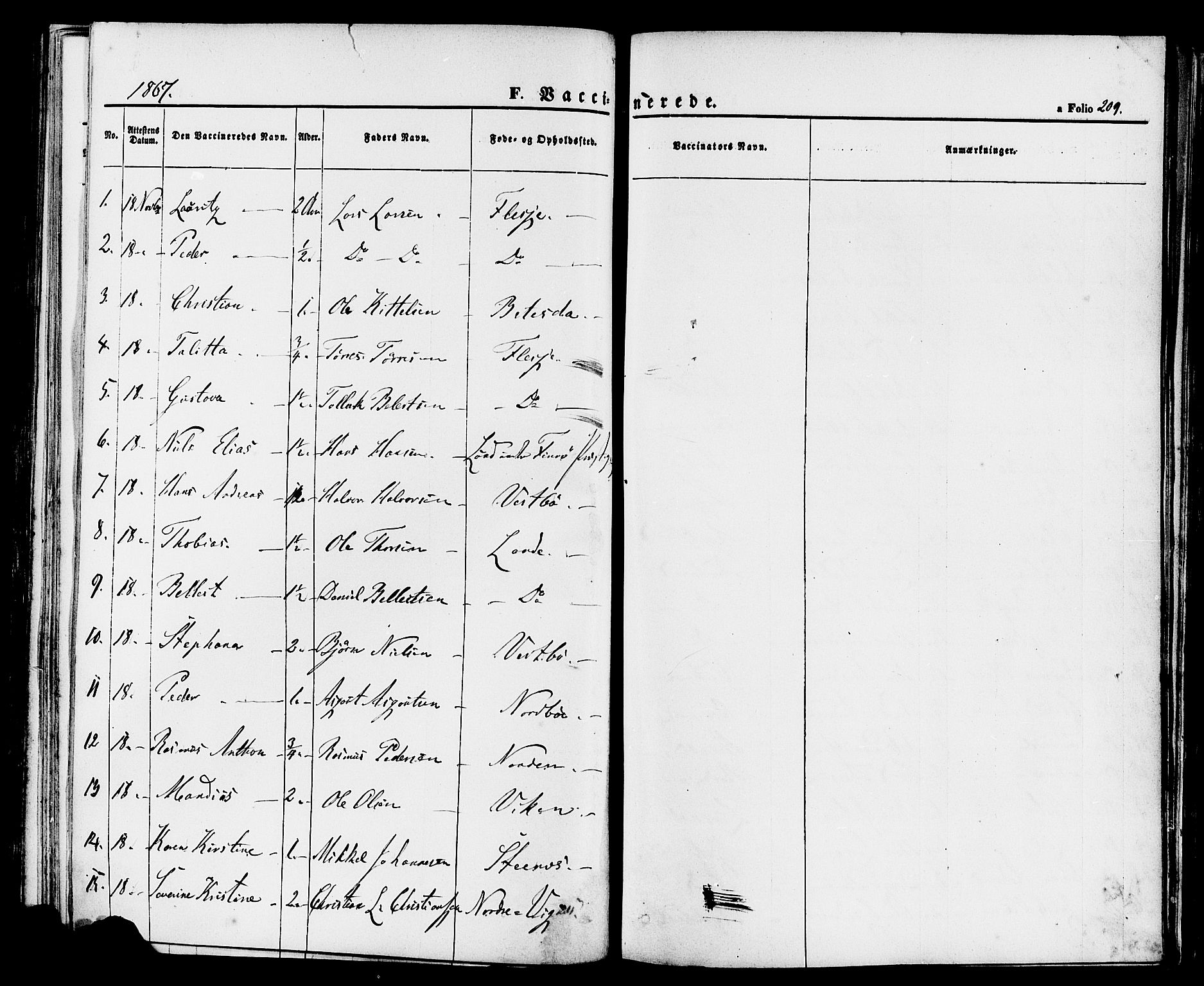 Finnøy sokneprestkontor, AV/SAST-A-101825/H/Ha/Haa/L0008: Ministerialbok nr. A 8, 1863-1878, s. 209