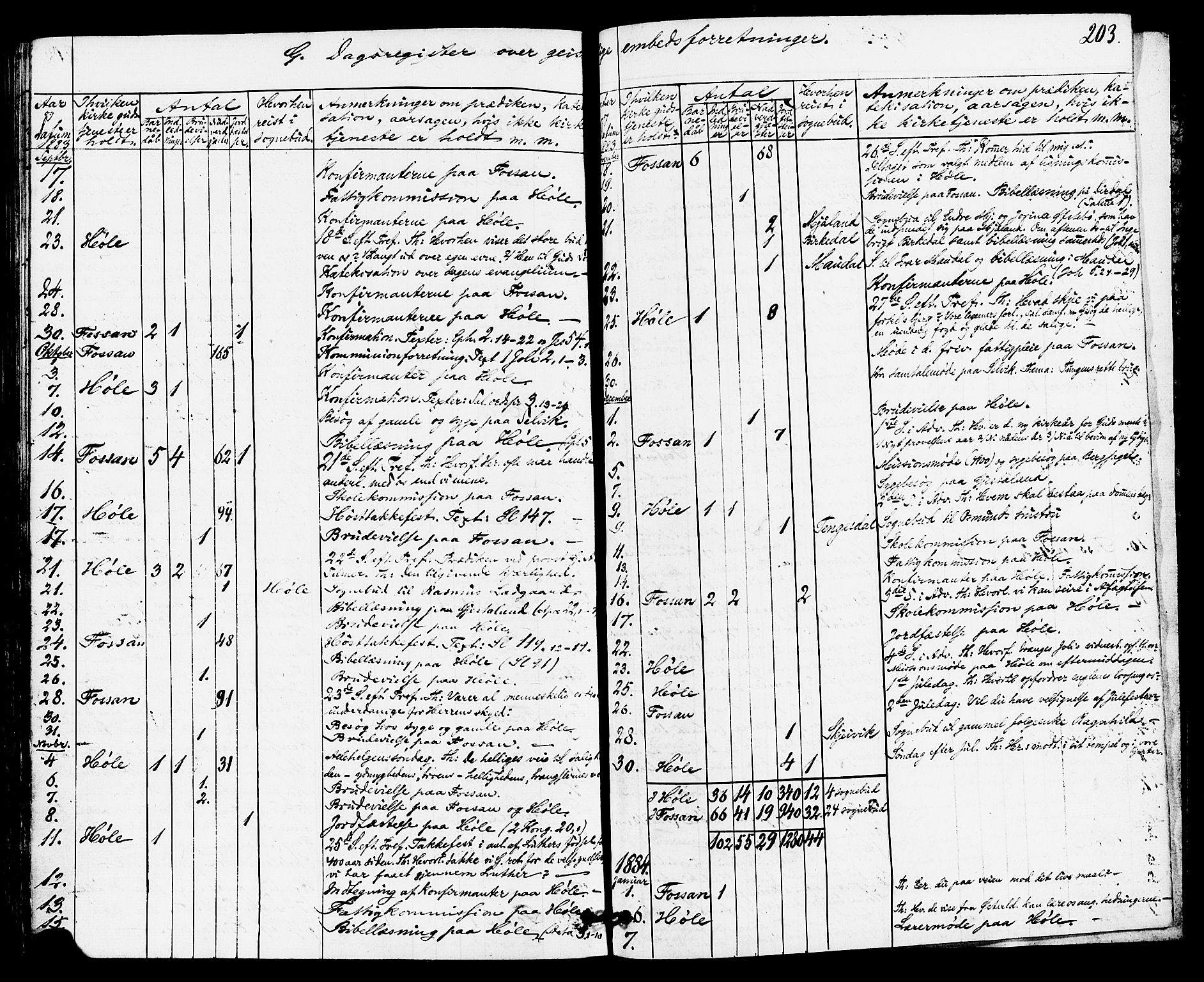 Høgsfjord sokneprestkontor, AV/SAST-A-101624/H/Ha/Haa/L0004: Ministerialbok nr. A 4, 1876-1884, s. 203
