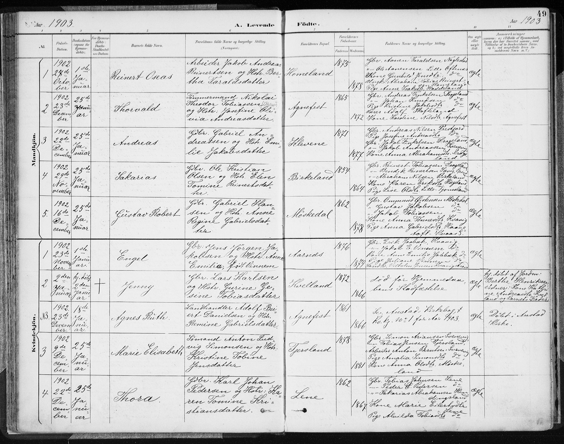 Lyngdal sokneprestkontor, AV/SAK-1111-0029/F/Fa/Fac/L0012: Ministerialbok nr. A 12, 1894-1918, s. 49