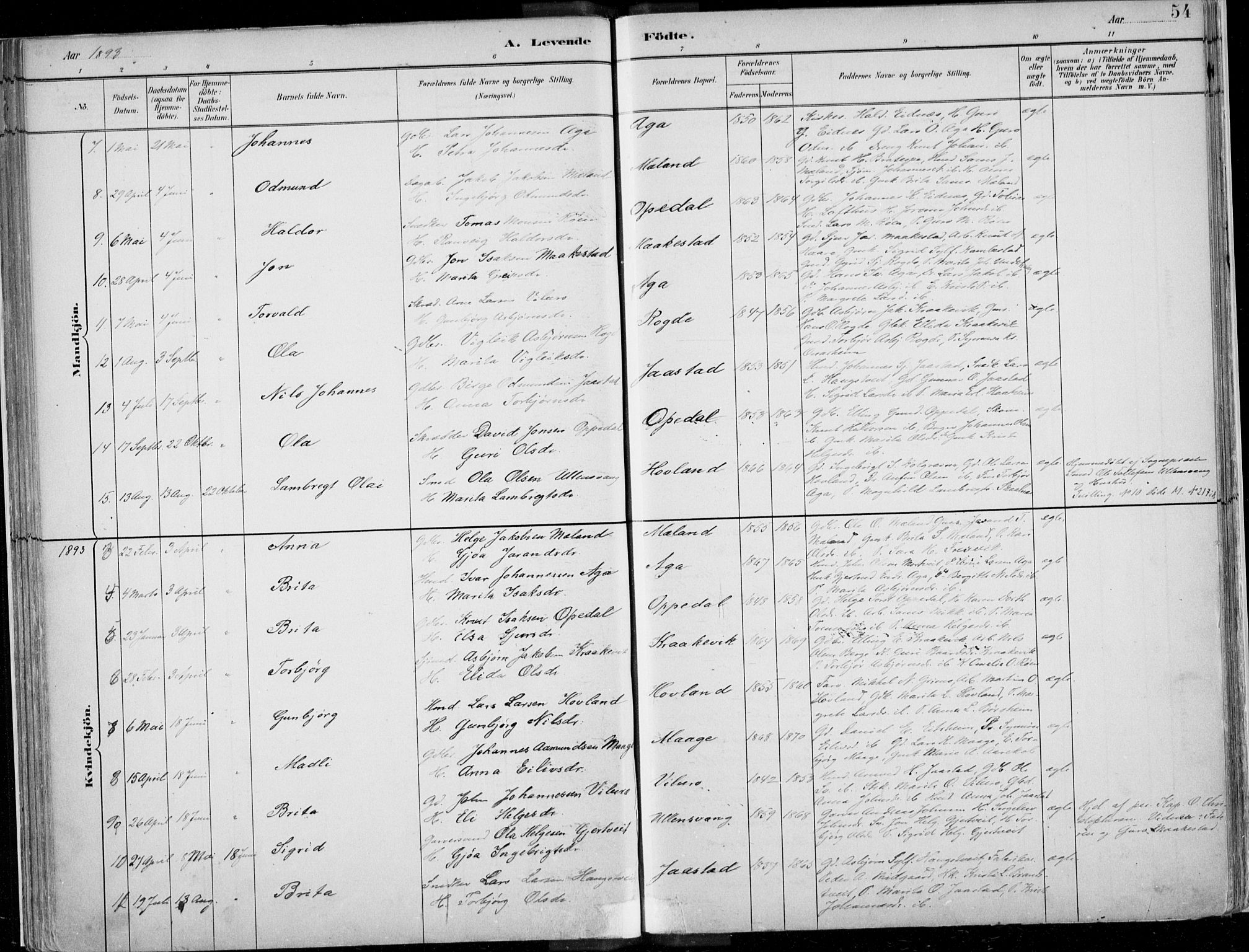 Ullensvang sokneprestembete, AV/SAB-A-78701/H/Haa: Ministerialbok nr. B  1, 1882-1918, s. 54