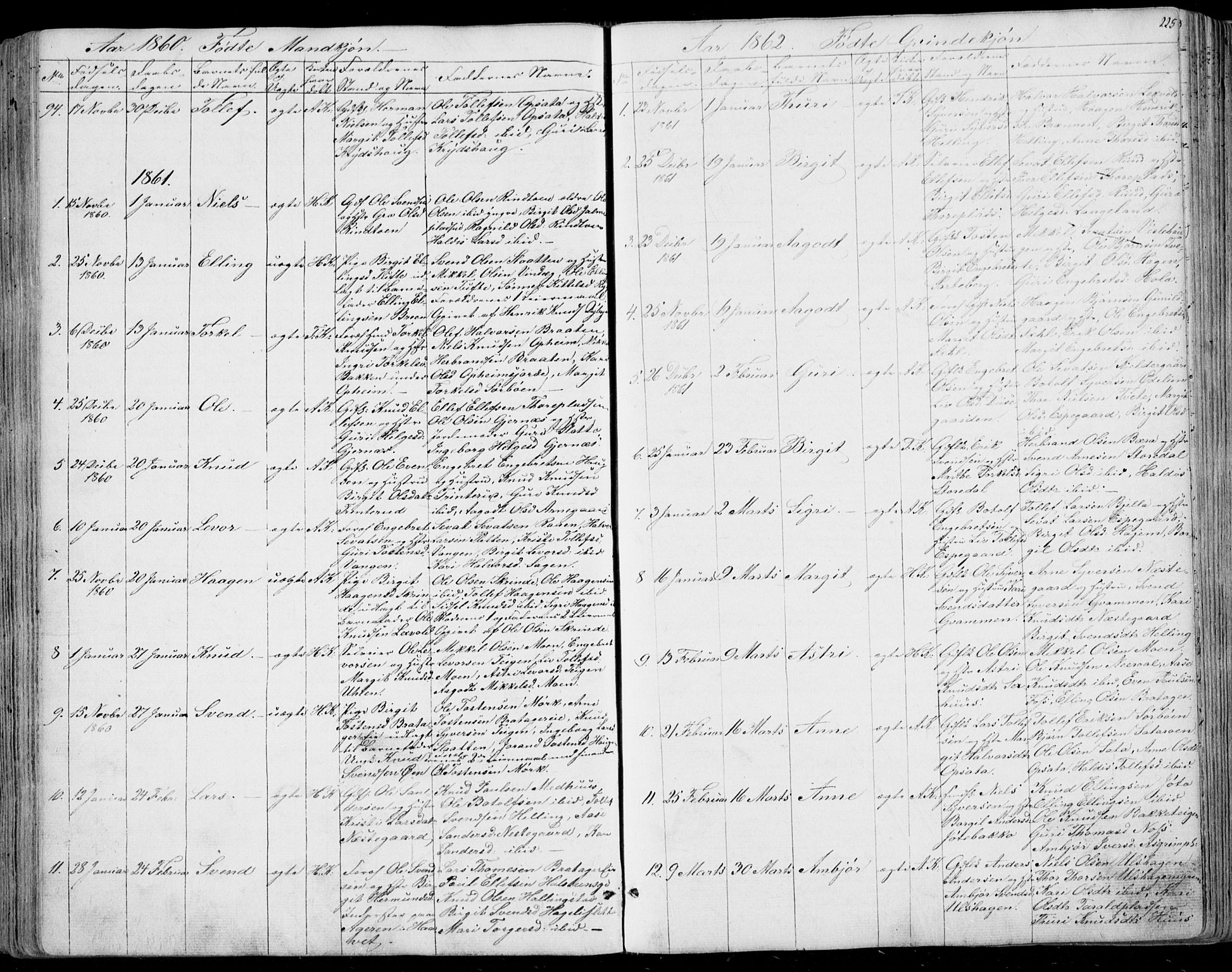 Ål kirkebøker, SAKO/A-249/F/Fa/L0006: Ministerialbok nr. I 6, 1849-1864, s. 225
