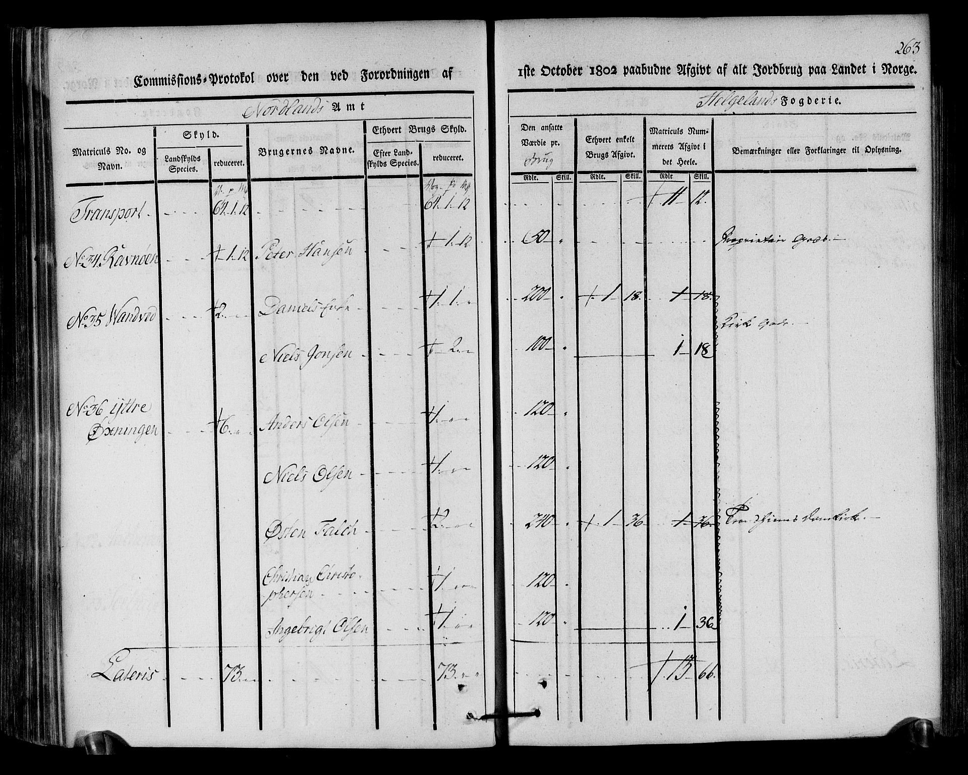 Rentekammeret inntil 1814, Realistisk ordnet avdeling, AV/RA-EA-4070/N/Ne/Nea/L0157: Helgeland fogderi. Kommisjonsprotokoll, 1803, s. 262