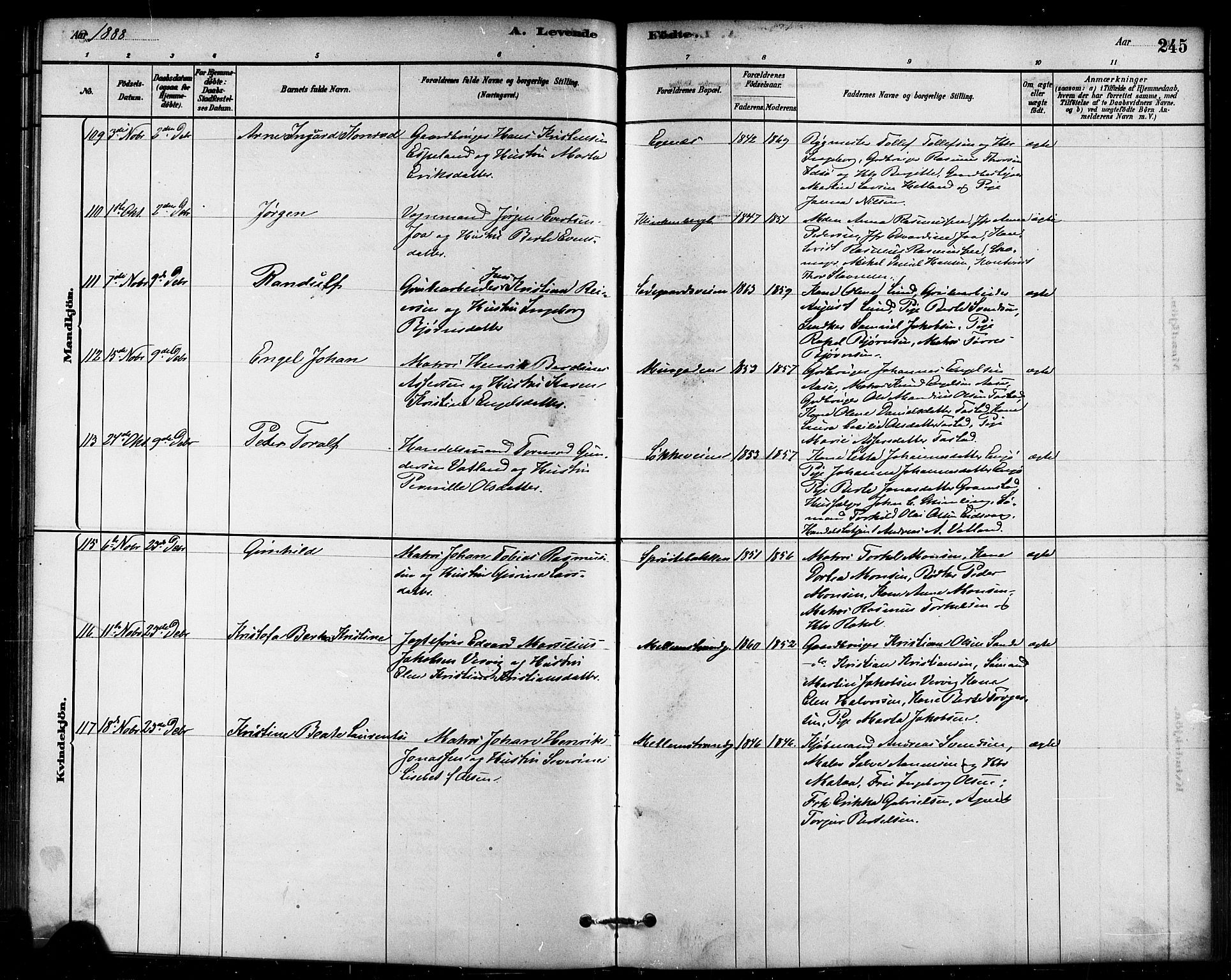 Domkirken sokneprestkontor, AV/SAST-A-101812/001/30/30BB/L0015: Klokkerbok nr. B 15, 1880-1891, s. 245