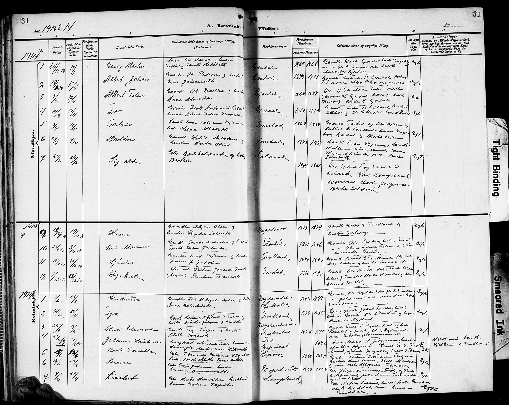 Sirdal sokneprestkontor, AV/SAK-1111-0036/F/Fb/Fbb/L0004: Klokkerbok nr. B 4, 1895-1916, s. 31
