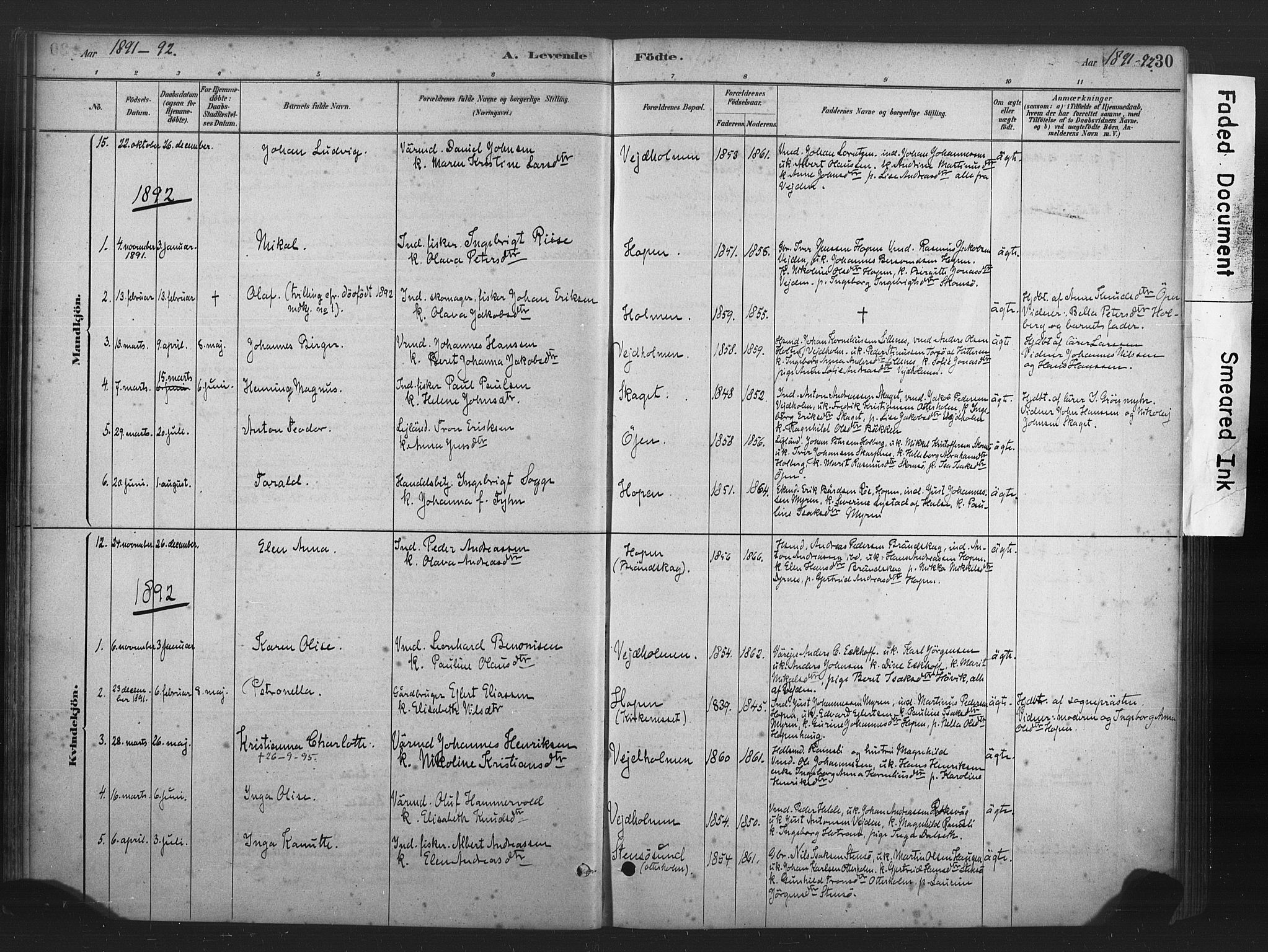 Ministerialprotokoller, klokkerbøker og fødselsregistre - Møre og Romsdal, AV/SAT-A-1454/583/L0954: Ministerialbok nr. 583A01, 1880-1906, s. 30