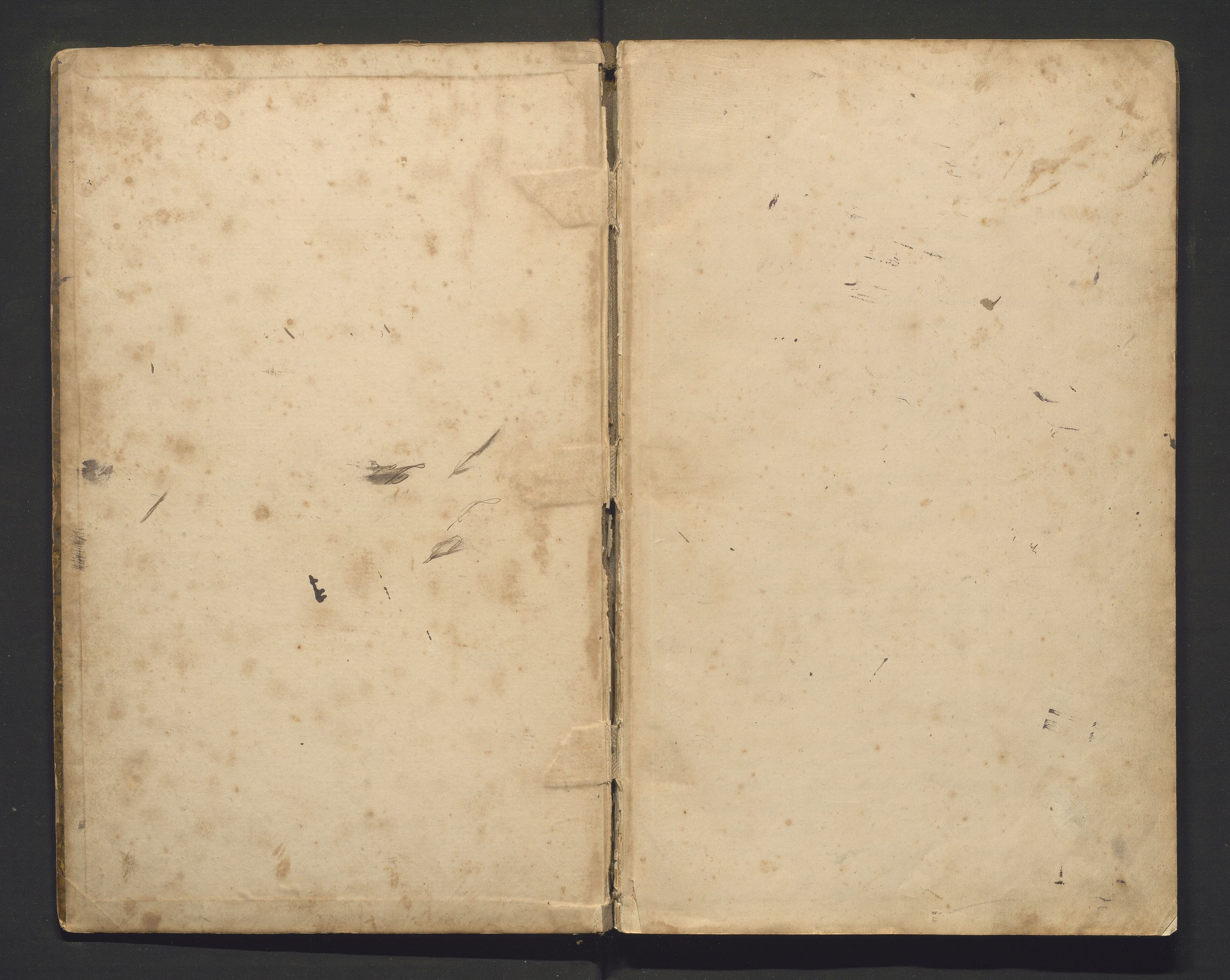 Dale totalavholdsforening, IKAH/1251a-Pa0002/A/Aa/L0001: Møtebok for Dale totalavholdsforening, 1885-1898