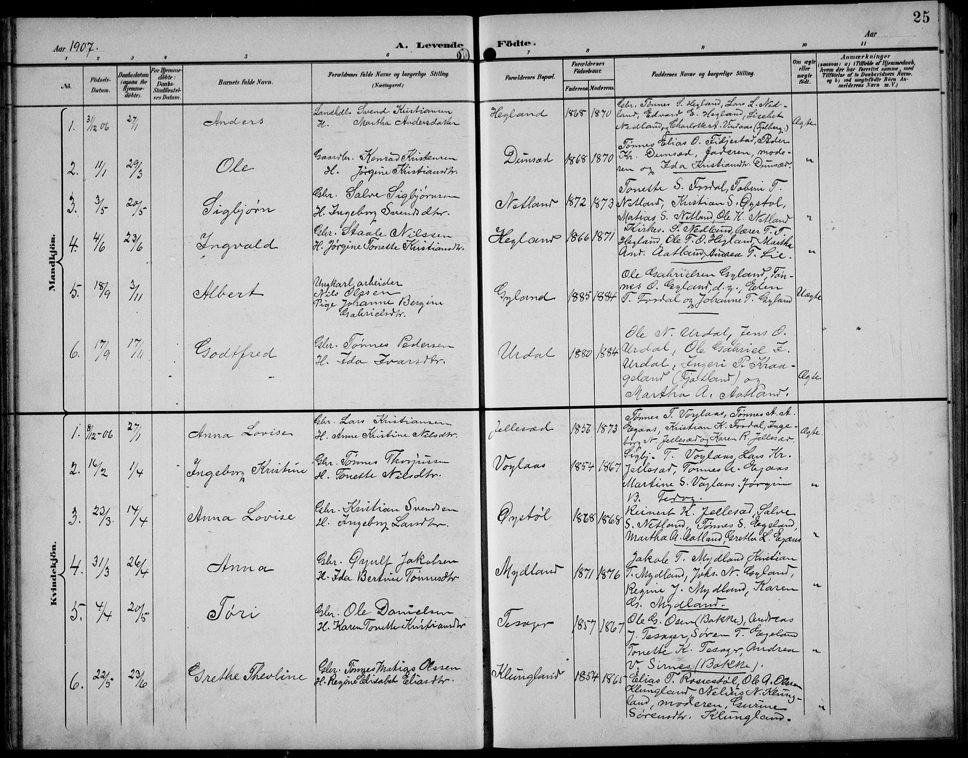 Bakke sokneprestkontor, AV/SAK-1111-0002/F/Fb/Fbb/L0004: Klokkerbok nr. B 4, 1896-1927, s. 25