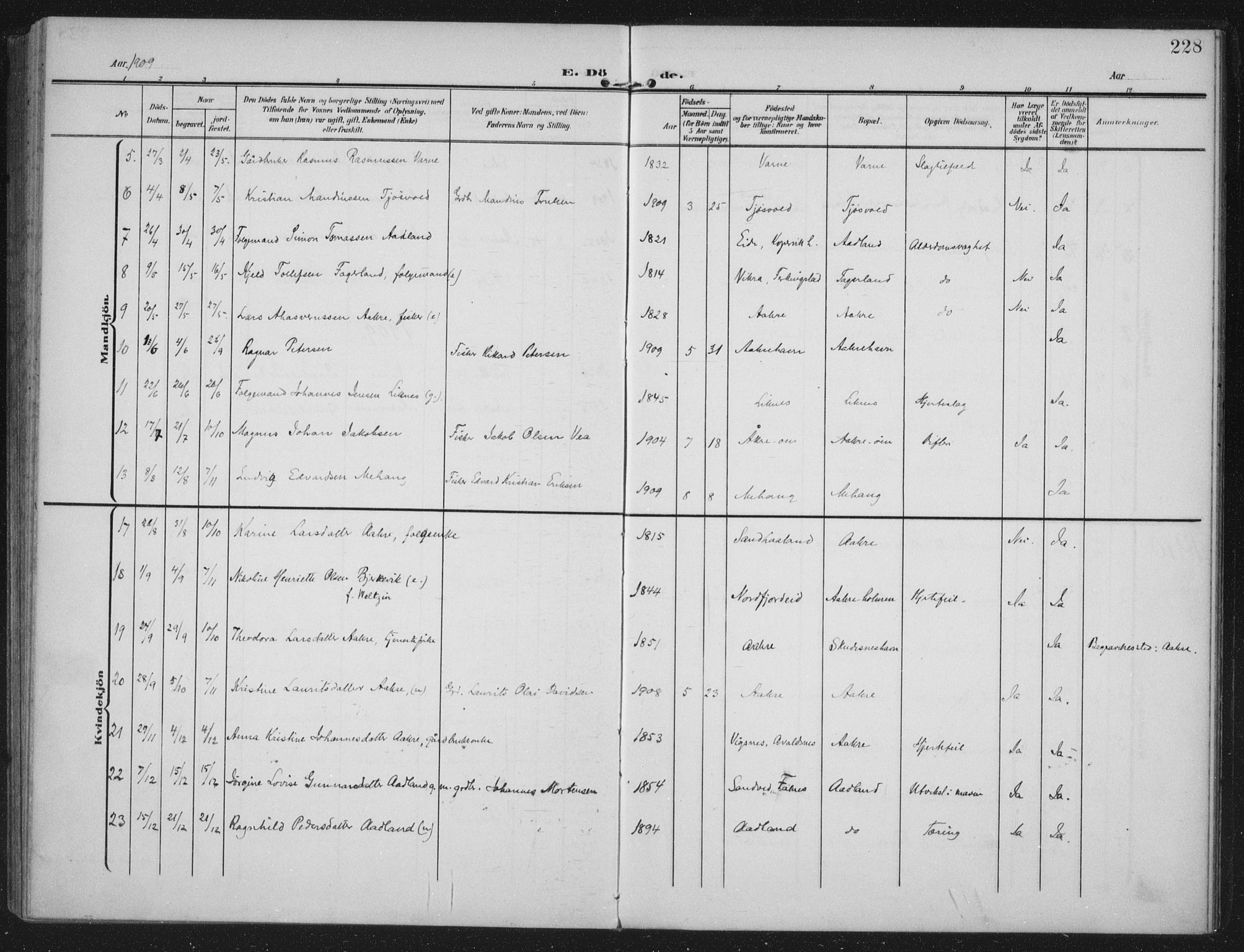 Kopervik sokneprestkontor, AV/SAST-A-101850/H/Ha/Haa/L0005: Ministerialbok nr. A 5, 1906-1924, s. 228