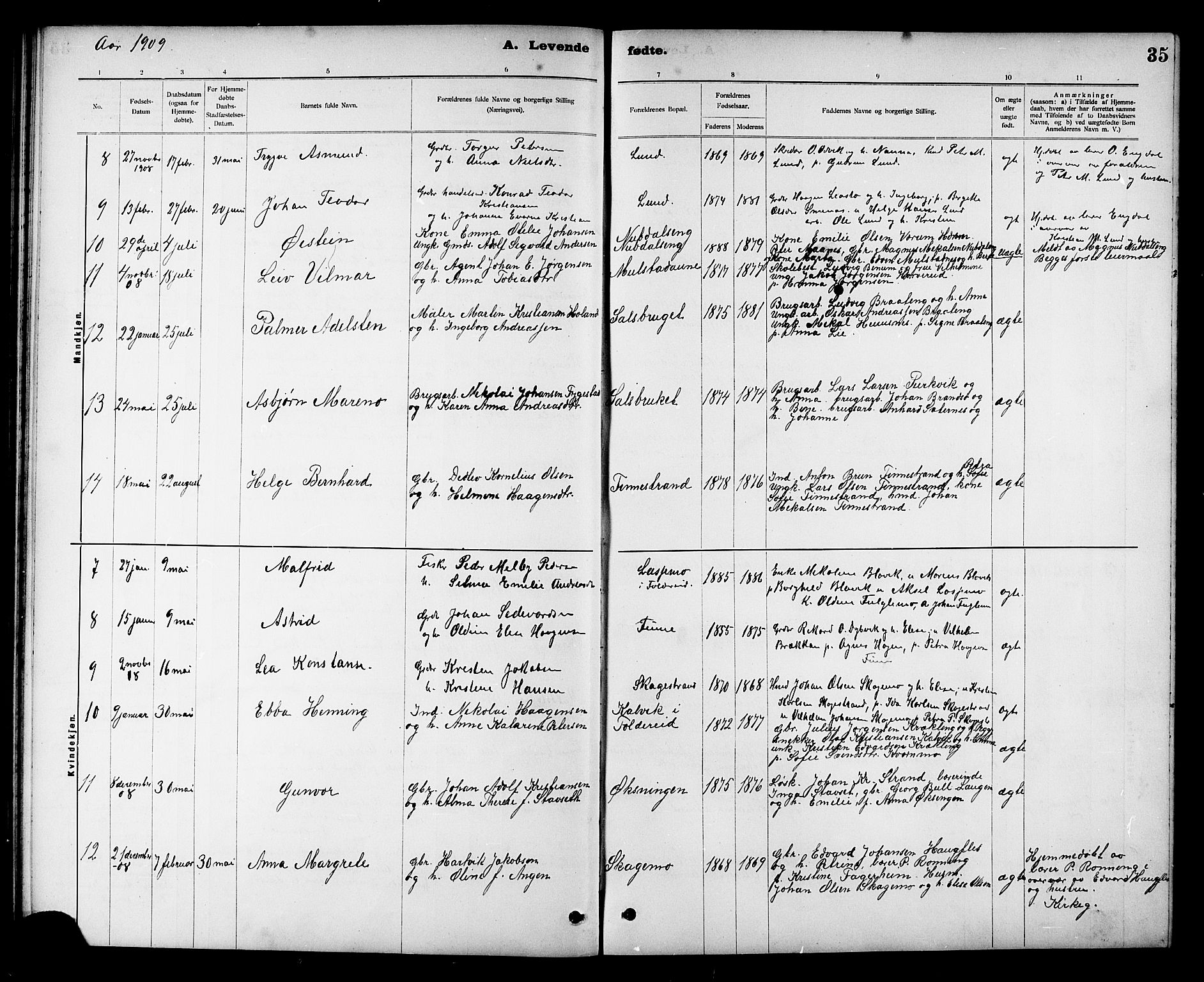 Ministerialprotokoller, klokkerbøker og fødselsregistre - Nord-Trøndelag, AV/SAT-A-1458/780/L0652: Klokkerbok nr. 780C04, 1899-1911, s. 35