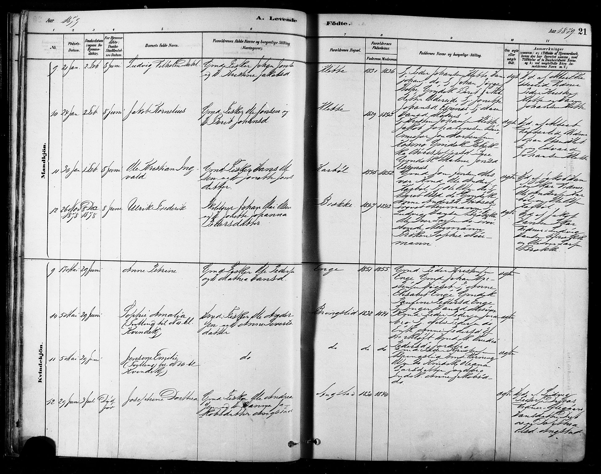 Ministerialprotokoller, klokkerbøker og fødselsregistre - Nordland, AV/SAT-A-1459/852/L0740: Ministerialbok nr. 852A10, 1878-1894, s. 21