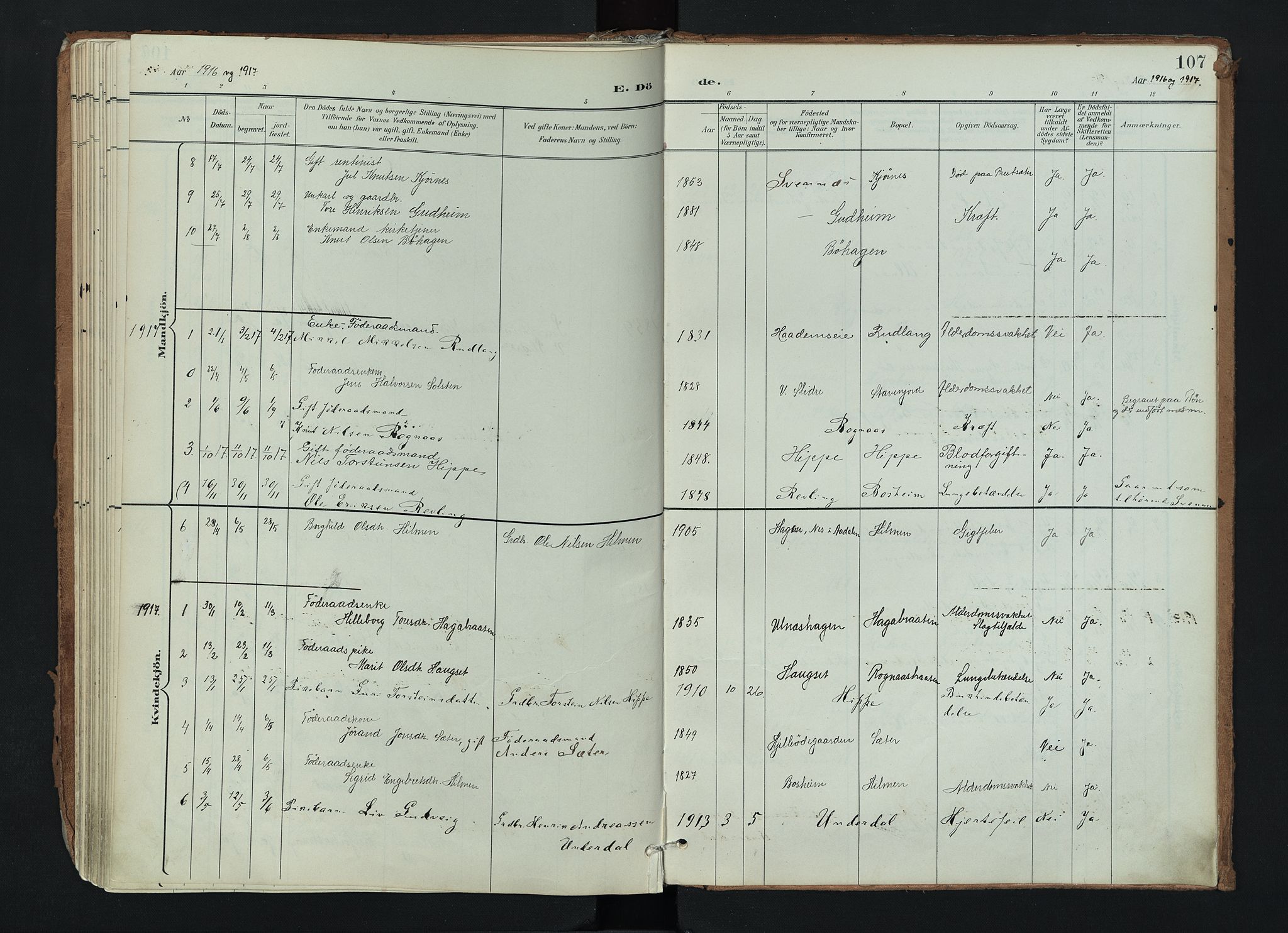 Nord-Aurdal prestekontor, AV/SAH-PREST-132/H/Ha/Haa/L0017: Ministerialbok nr. 17, 1897-1926, s. 107