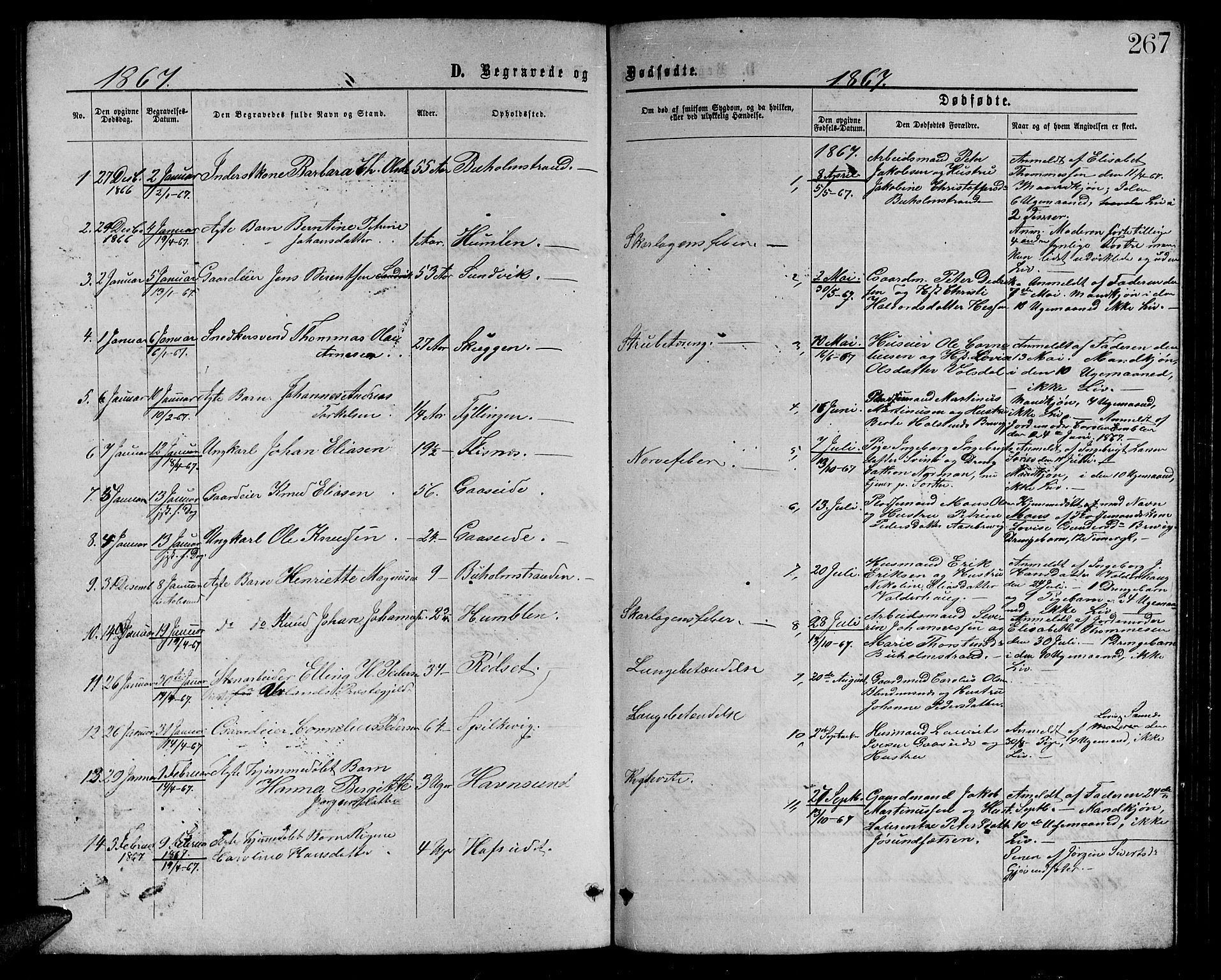 Ministerialprotokoller, klokkerbøker og fødselsregistre - Møre og Romsdal, SAT/A-1454/528/L0428: Klokkerbok nr. 528C09, 1864-1880, s. 267