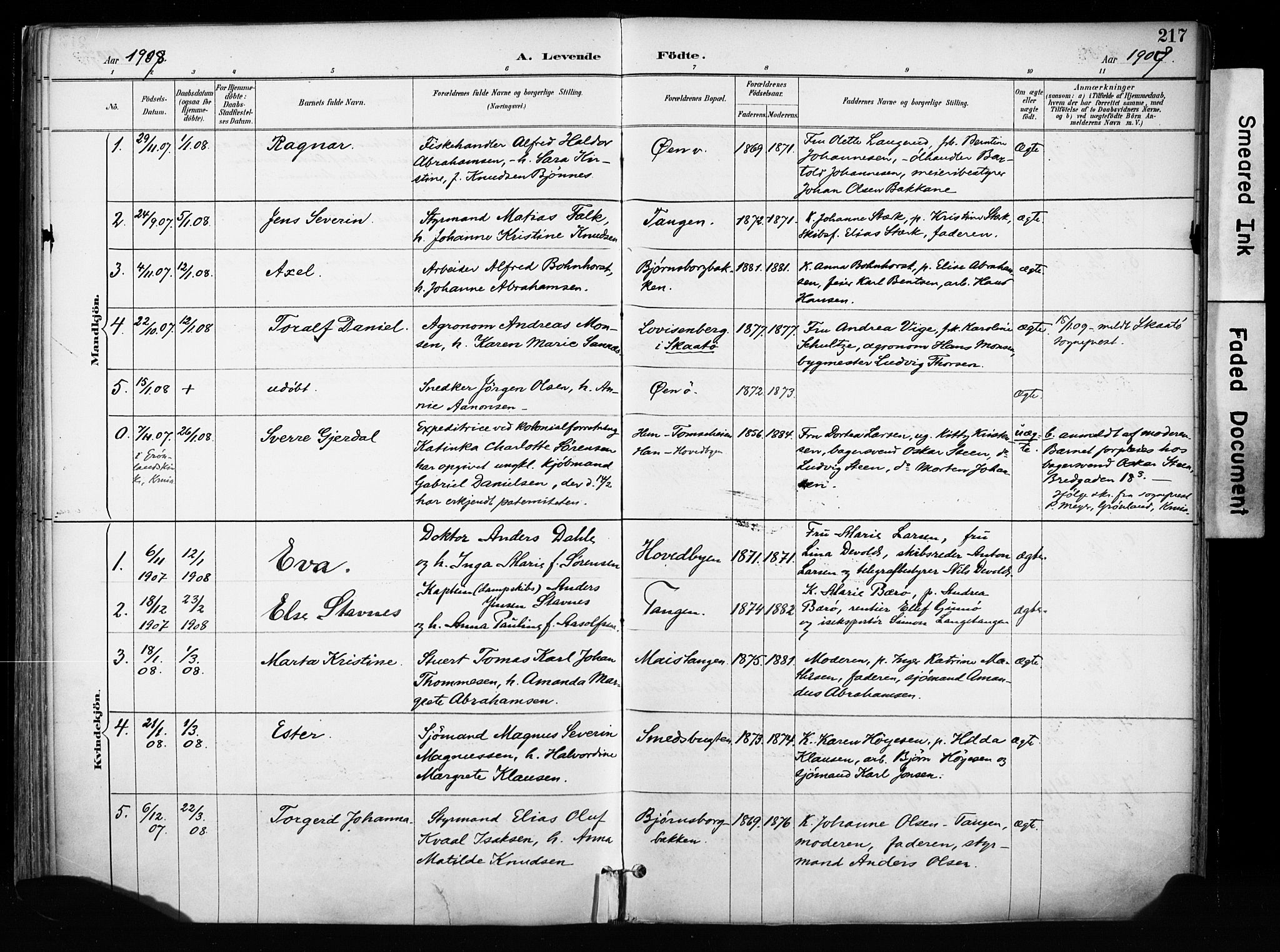 Kragerø kirkebøker, AV/SAKO-A-278/F/Fa/L0013: Ministerialbok nr. 13, 1887-1915, s. 217