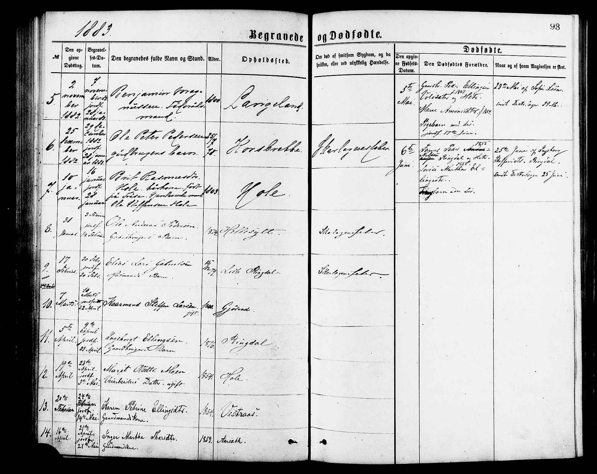 Ministerialprotokoller, klokkerbøker og fødselsregistre - Møre og Romsdal, AV/SAT-A-1454/517/L0227: Ministerialbok nr. 517A07, 1870-1886, s. 93