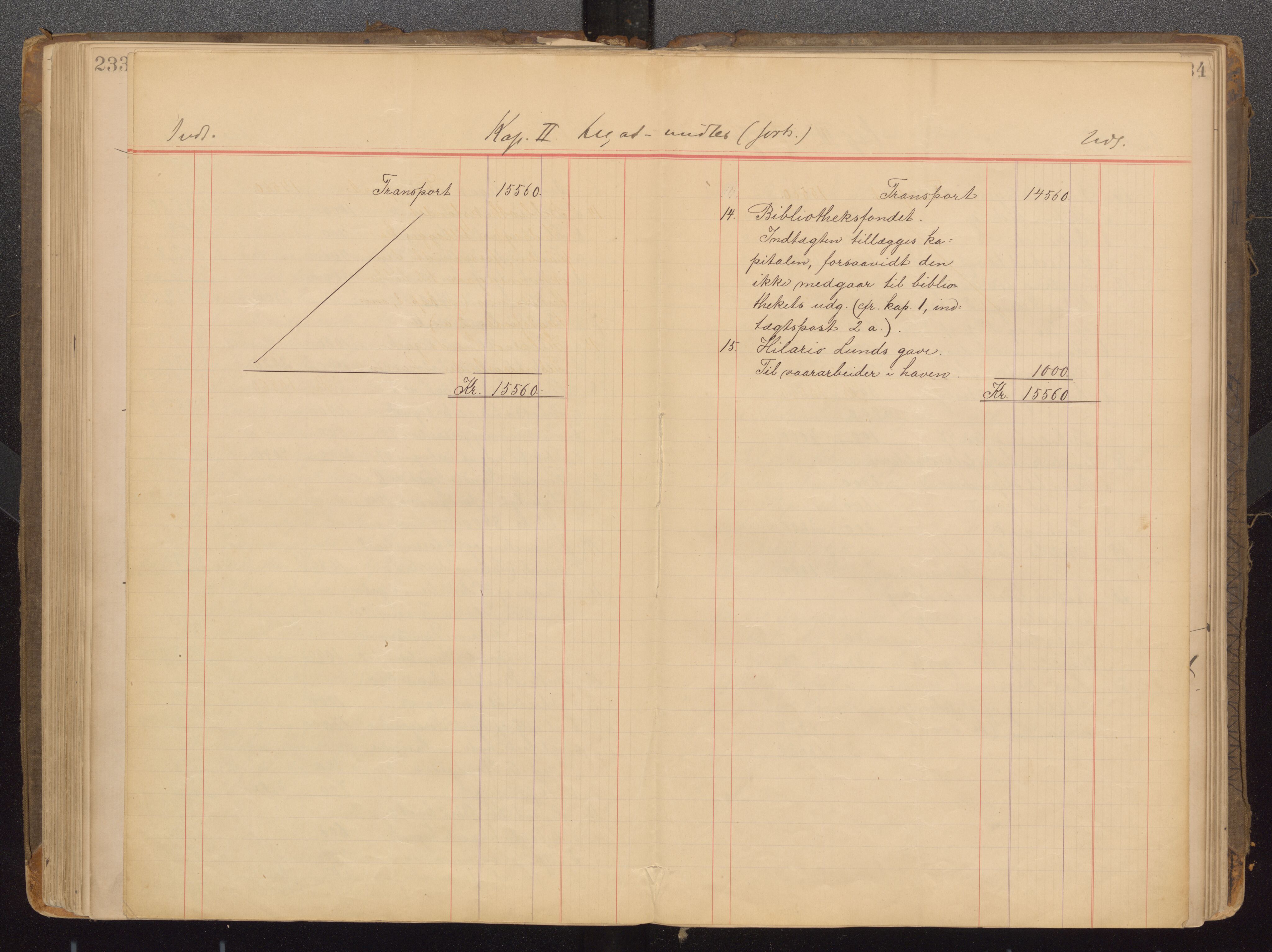 Bergens Museum. Direksjonen/ styret, UMB/A007/A/Aa/L0007: Forhandlingsprotokoll , 1872-1906