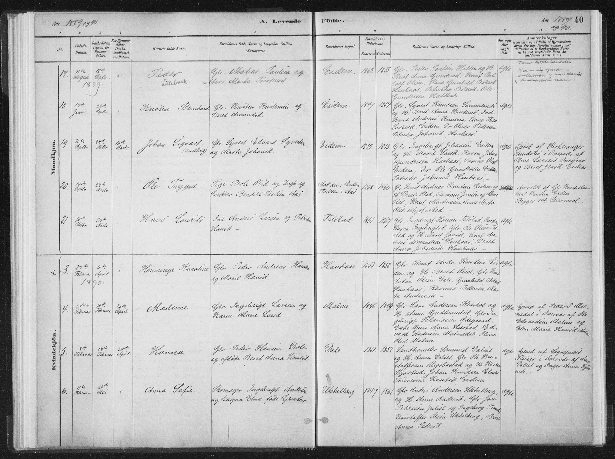 Ministerialprotokoller, klokkerbøker og fødselsregistre - Møre og Romsdal, AV/SAT-A-1454/564/L0740: Ministerialbok nr. 564A01, 1880-1899, s. 40