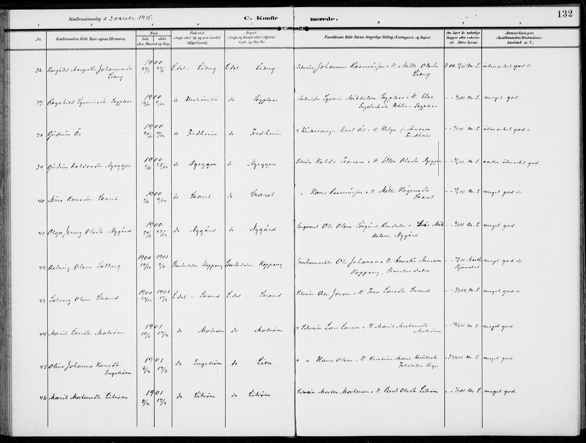 Alvdal prestekontor, AV/SAH-PREST-060/H/Ha/Haa/L0004: Ministerialbok nr. 4, 1907-1919, s. 132