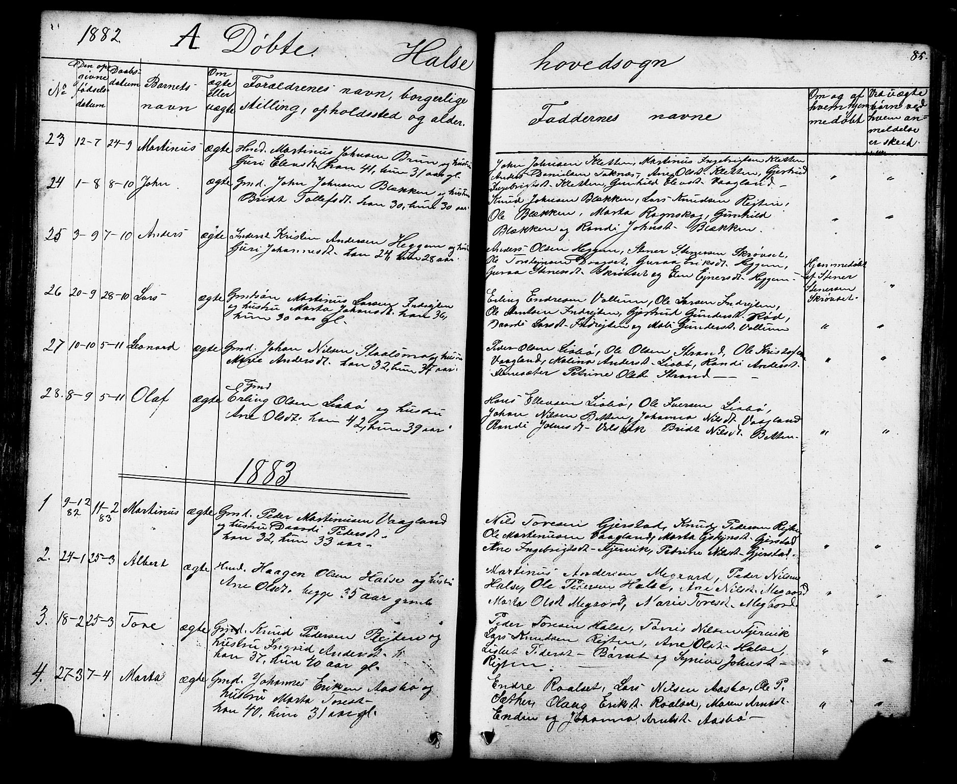 Ministerialprotokoller, klokkerbøker og fødselsregistre - Møre og Romsdal, SAT/A-1454/576/L0890: Klokkerbok nr. 576C01, 1837-1908, s. 85