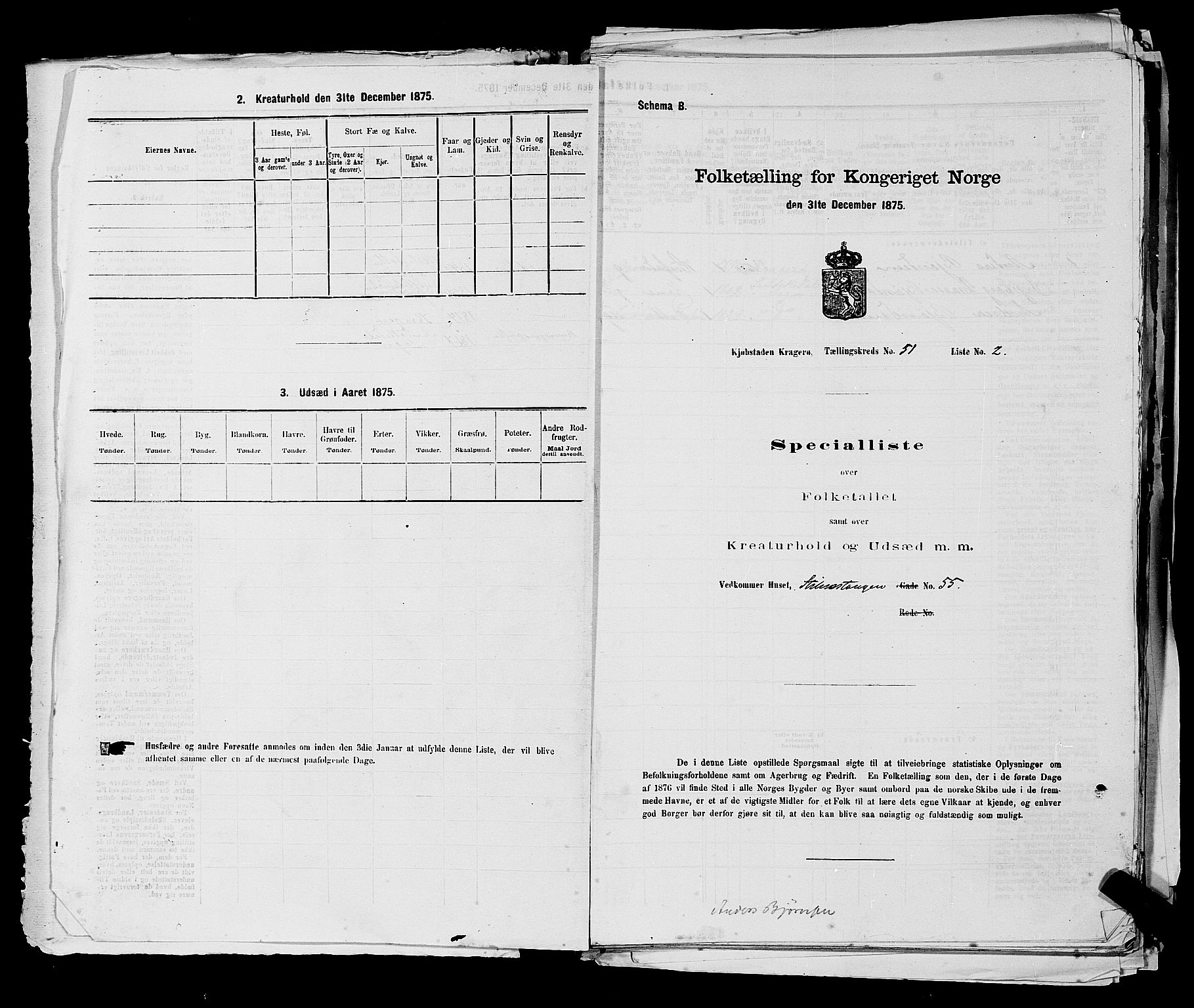 SAKO, Folketelling 1875 for 0801P Kragerø prestegjeld, 1875, s. 1125