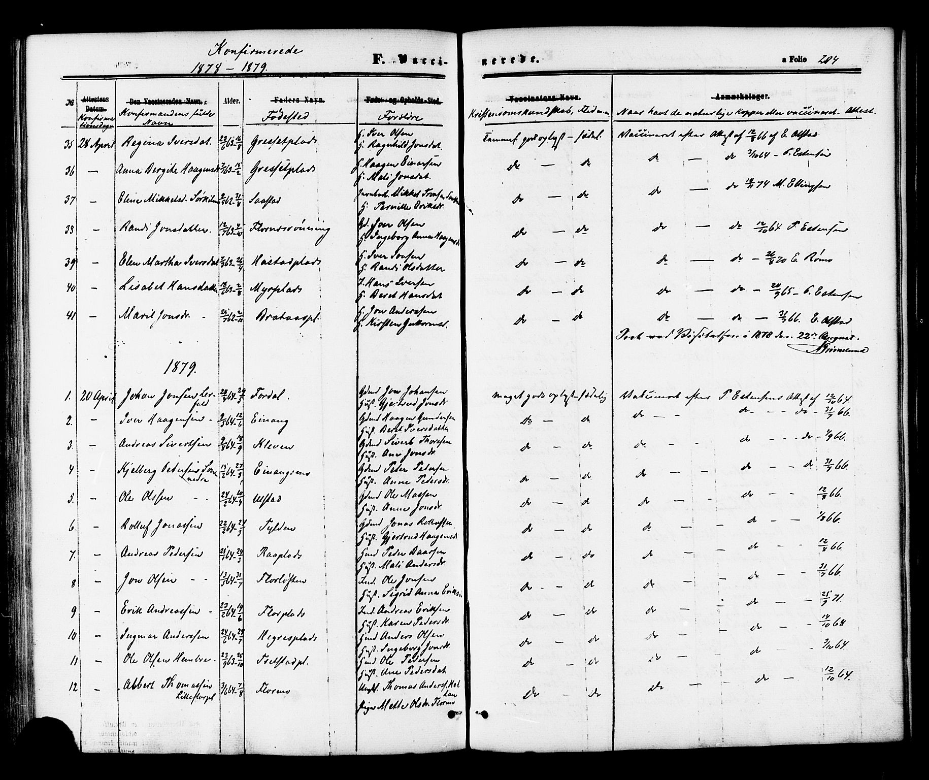 Ministerialprotokoller, klokkerbøker og fødselsregistre - Nord-Trøndelag, AV/SAT-A-1458/703/L0029: Ministerialbok nr. 703A02, 1863-1879, s. 204