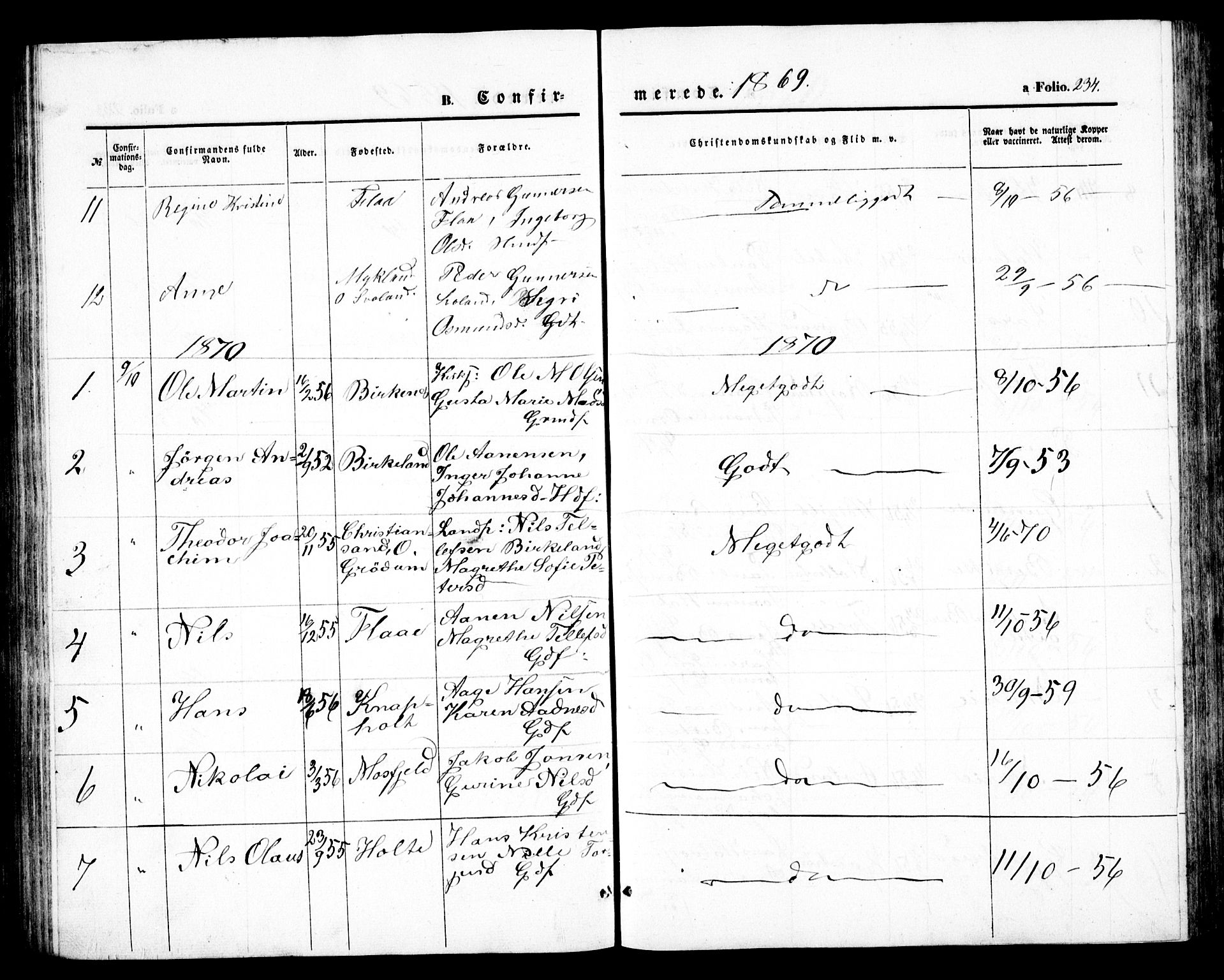 Birkenes sokneprestkontor, SAK/1111-0004/F/Fb/L0002: Klokkerbok nr. B 2, 1849-1876, s. 234
